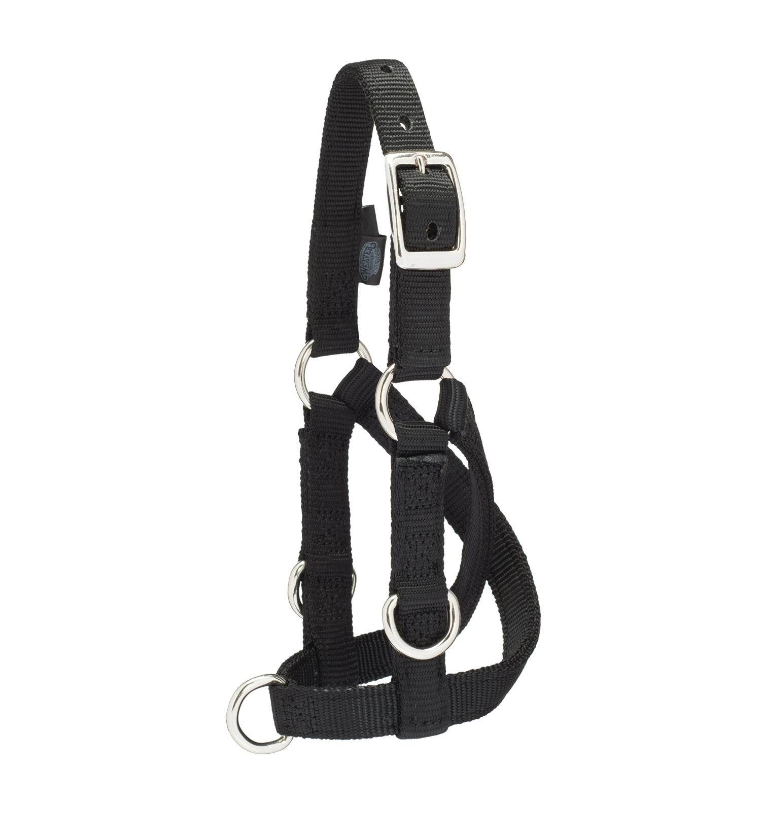 Weaver Leather Livestock Sheep & Goat Training Halter Small