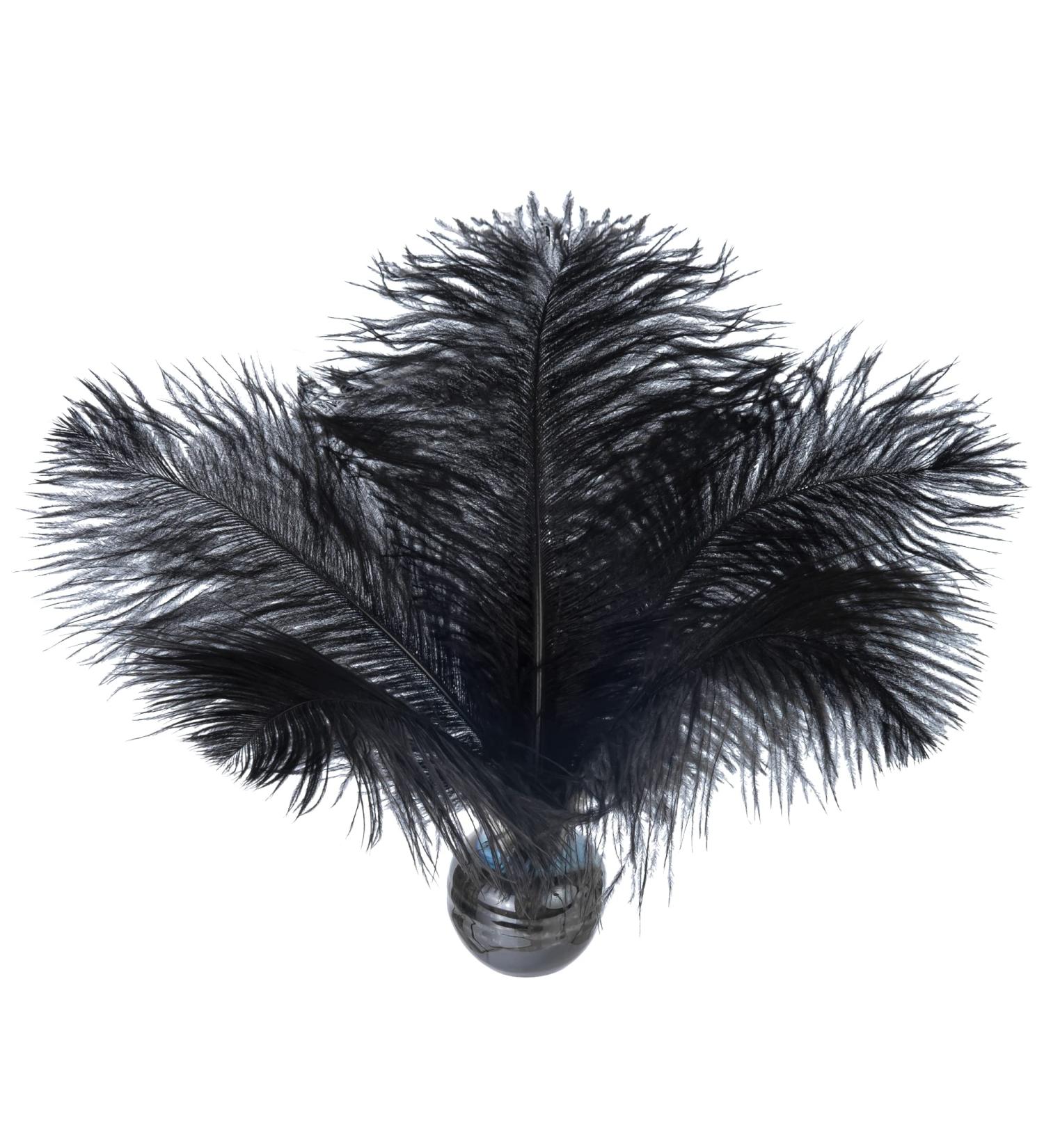 Piokio 20 pcs Natural Black Ostrich Feathers Plumes 8-10 inch(20-25 cm) Bulk for DIY Halloween Decorations  Wedding Party Centerpieces  Gatsby Decorations Black 8-10 - Buy Online on SooperMarket.com