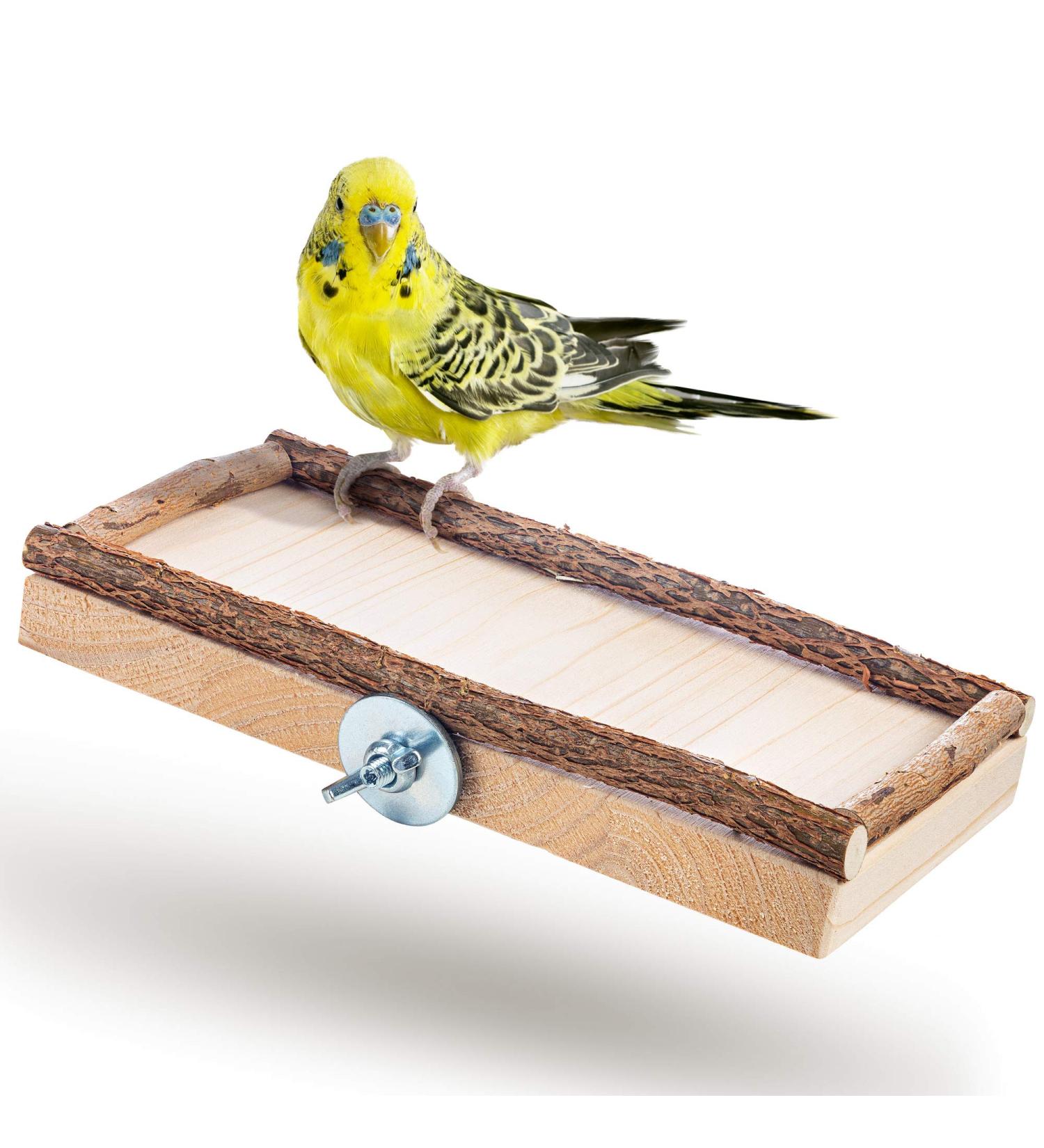 Premium Bird Gallery Perch - Quality Budgie Perches & Accessories for Bird Cages | International Shipping Available - Buy Online on SooperMarket.com