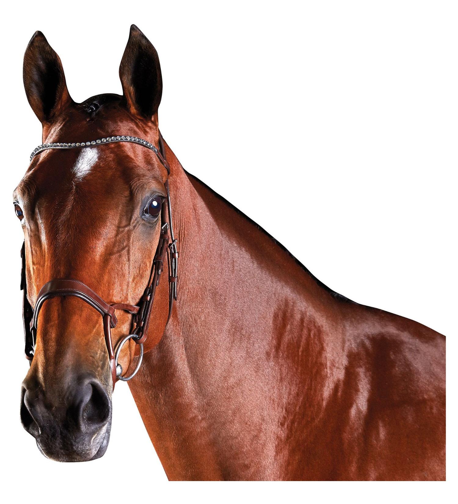 Collegiate ComFiTec Crystal Snaffle Bridle Warmblood Brown