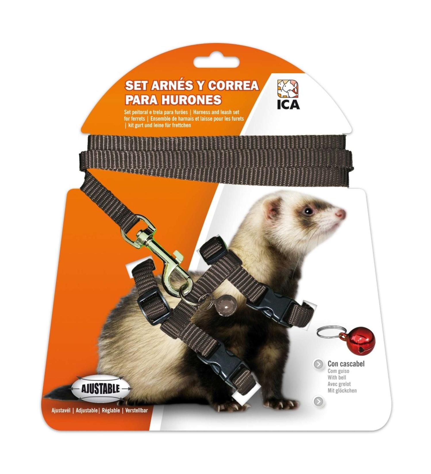 ICA DA973 Set with harness and belt for ferrets black