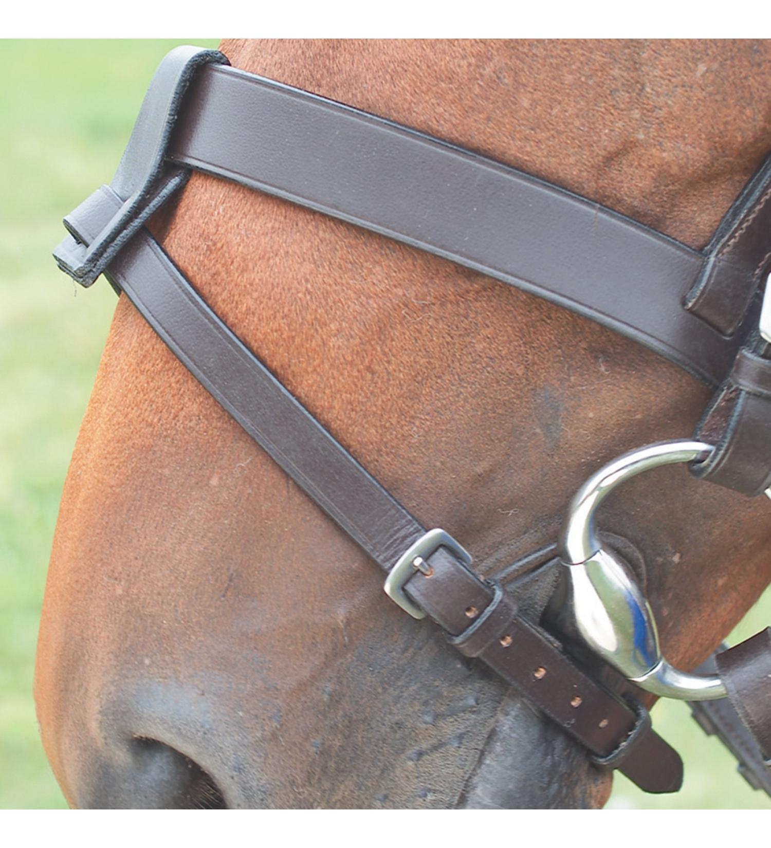 Shires Velociti GARA Flash Attachment Havana
