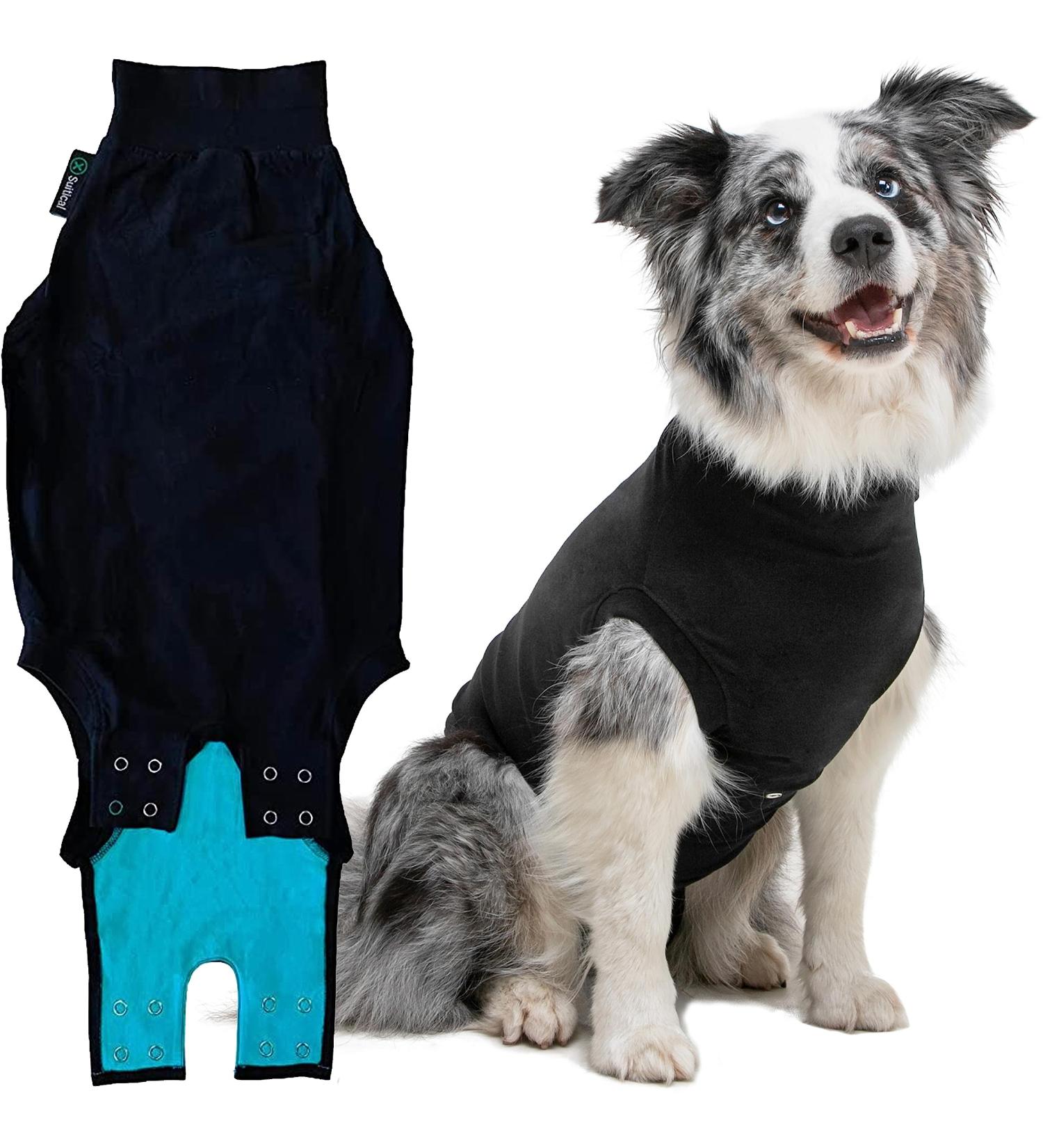 Buy Suitical Recovery Suit for Dogs - M+ Size in Black | Ideal Post-Surgery Pet Wear - International Shipping Available - Buy Online on SooperMarket.com