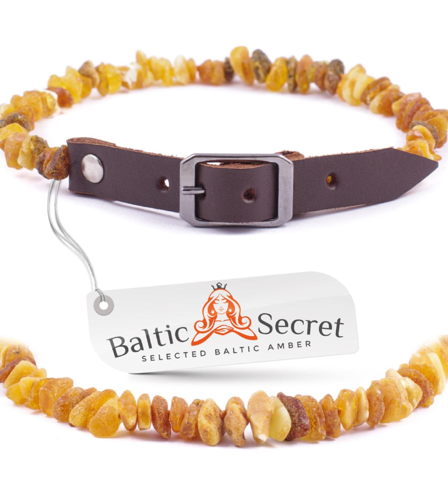 Amber Necklace for Dogs & Cats - Natural Tick & Flea Protection | Baltic Secret - Buy Online on SooperMarket.com
