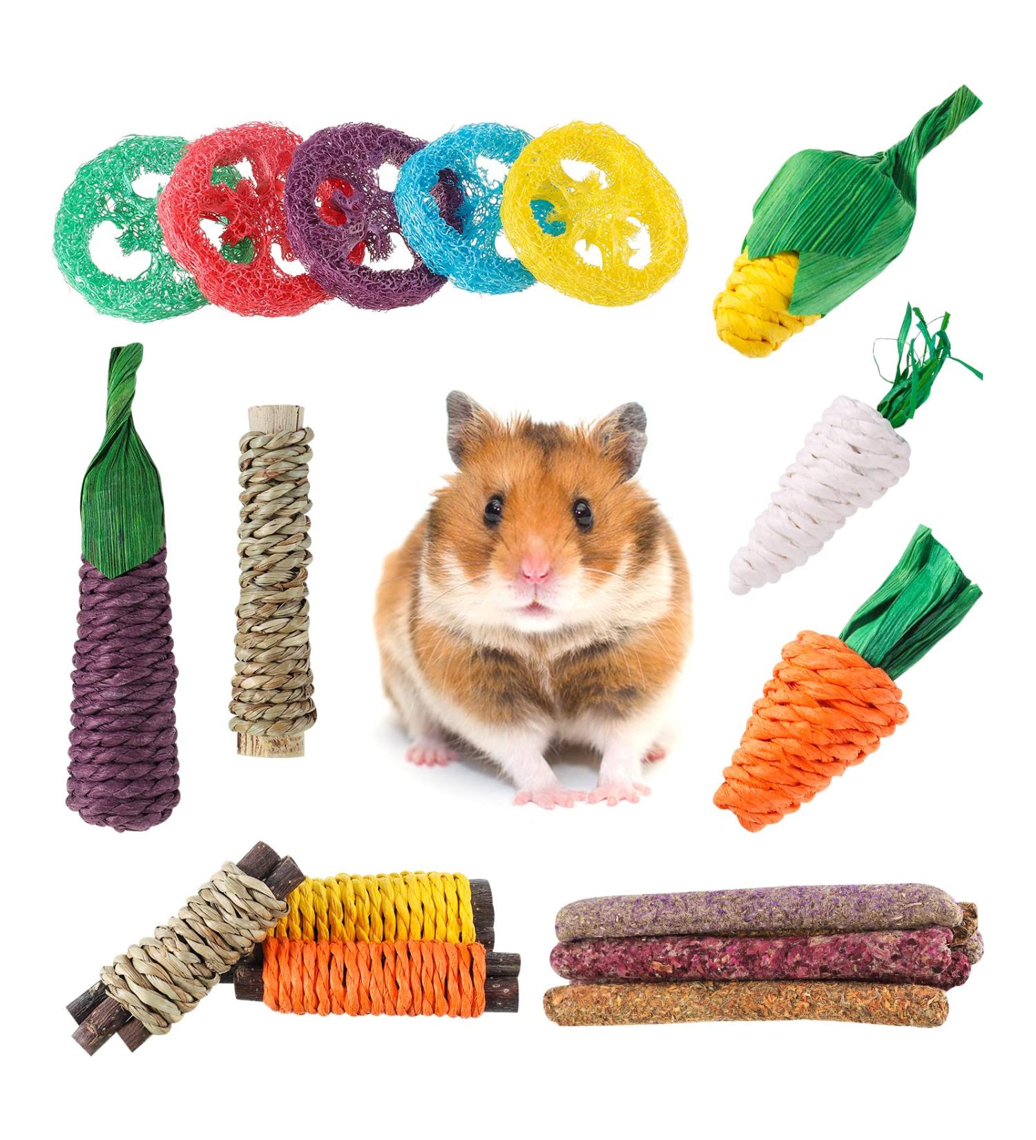 Fanshiontide 19 in 1 Bunny Chew Toys for Teeth - Rabbit Treats and Toys for Teeth - Timothy Hay Sticks, Loofah, Wood, Grass, Carrots, Corn - Ideal for Rabbit, Guinea Pig, Hamster, Chinchilla - Buy Online on SooperMarket.com