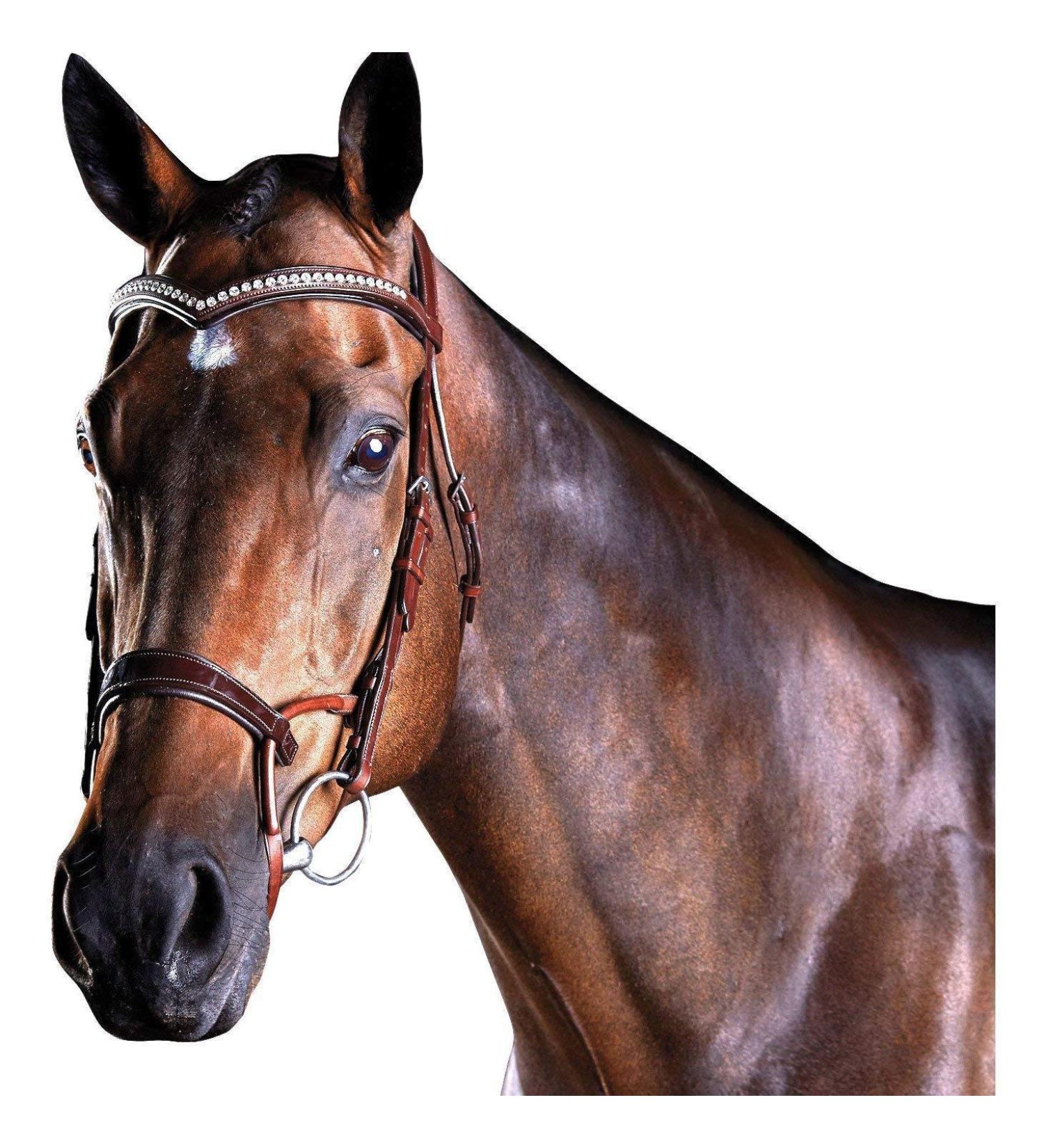 Collegiate ComFiTec Patent Snaffle Bridle - Brown Cob | Premium Quality Equestrian Gear for International Shipping - Buy Online on SooperMarket.com