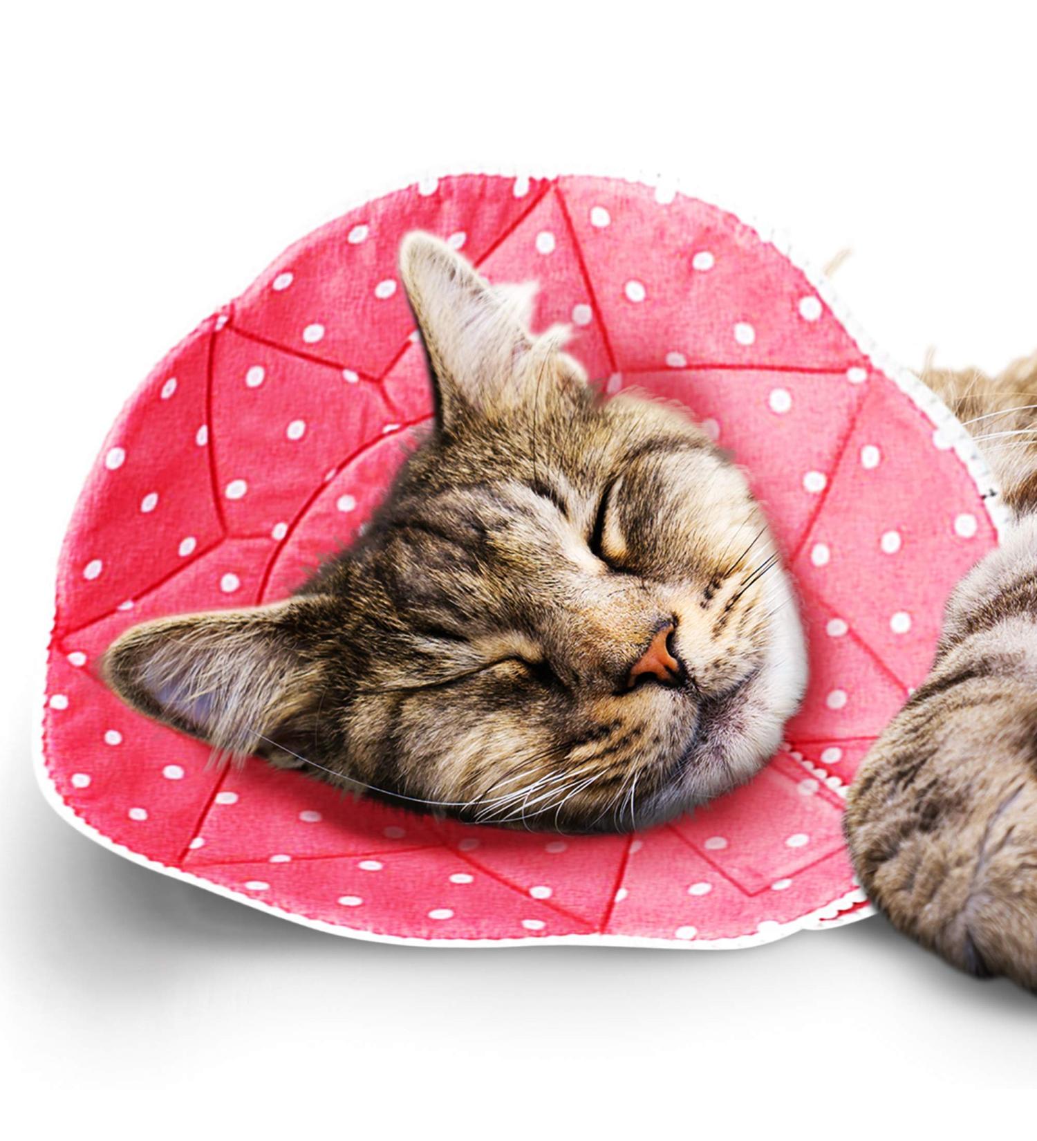 SunGrow Soft Cat Recovery Cone Collar for Easy Nail Cutting - Pink Polka (S 7.5-9 Neck) - Buy Online on SooperMarket.com