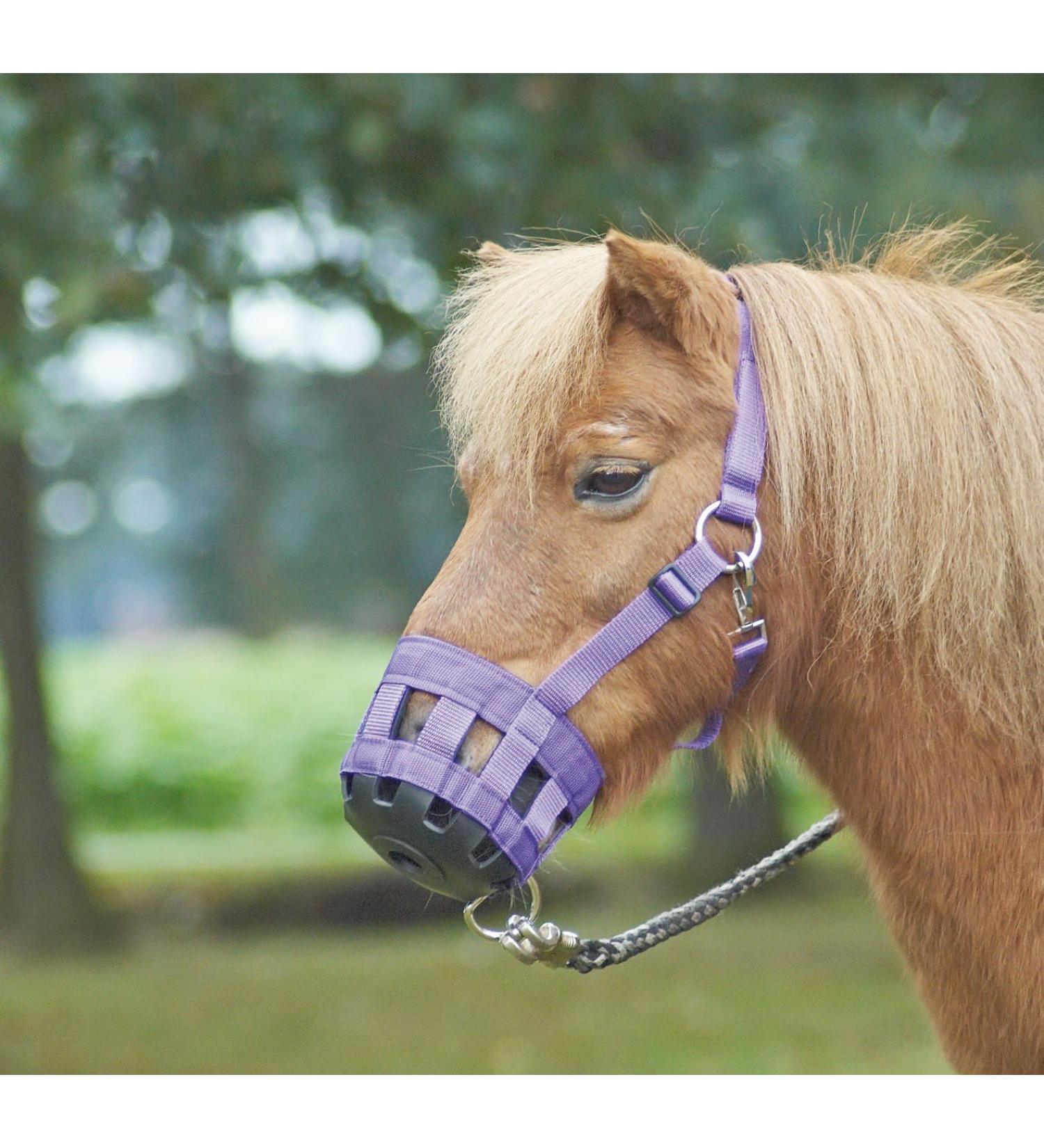 Busse Fressbremse Classic royal blue Pony