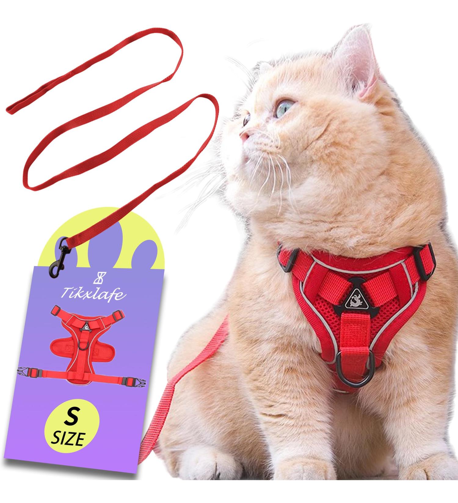 Buy Tikxlafe Adjustable Cat Dishes with Leash - 150 cm Polyester Cat Line Set for Kittens (Red Size S) - International Shipping Available - Buy Online on SooperMarket.com