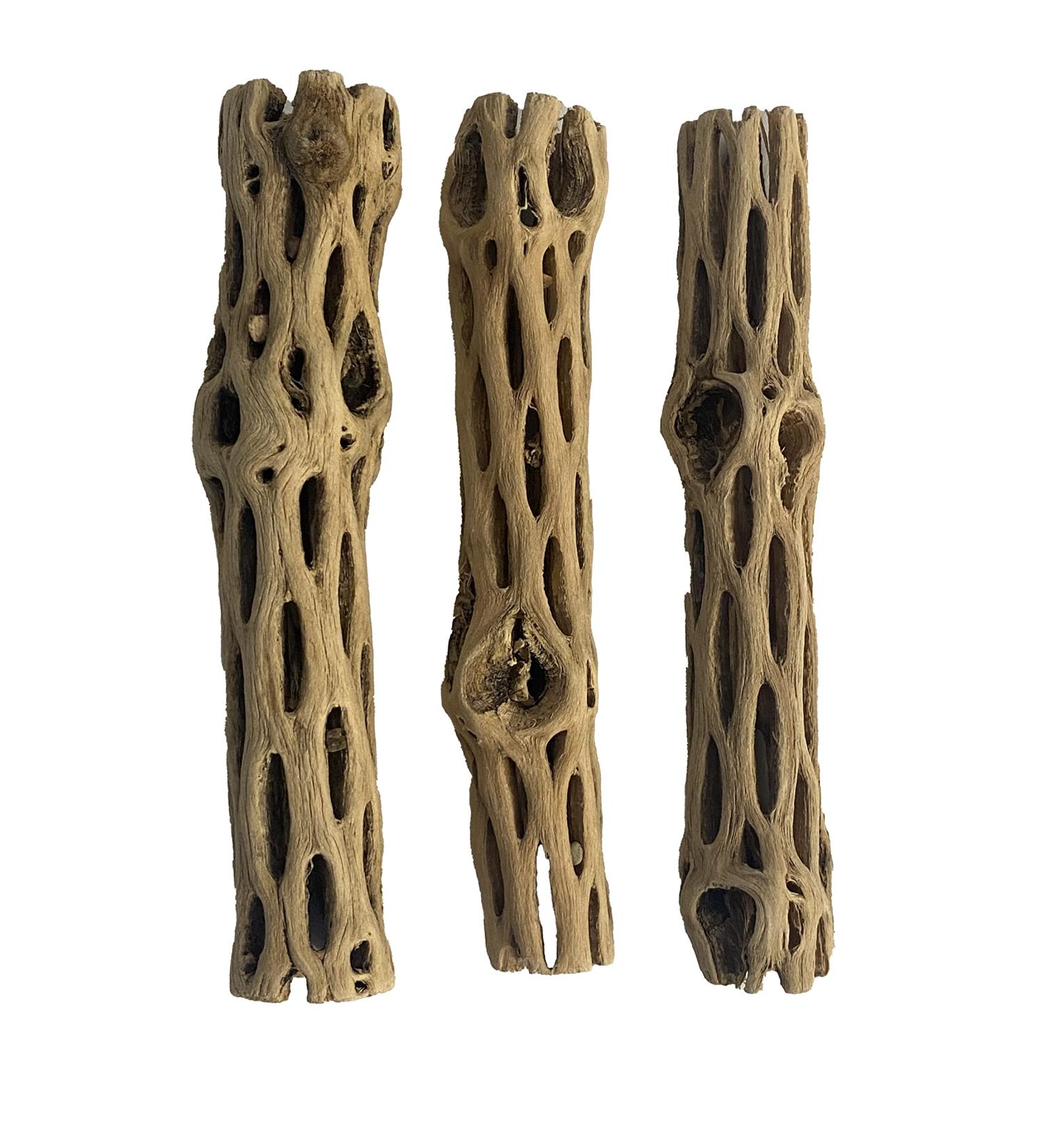 Awesome Aquatic Natural Cholla/Choya Wood 3 Pieces 6 for Shrimp Habitat and Food Treat Hermit Crabs Plecos Aquarium Decoration Lowers pH Hideouts and Chew Toys Reptiles Thorn Free Dried Organic 3 pc 6 inch - Buy Online on SooperMarket.com