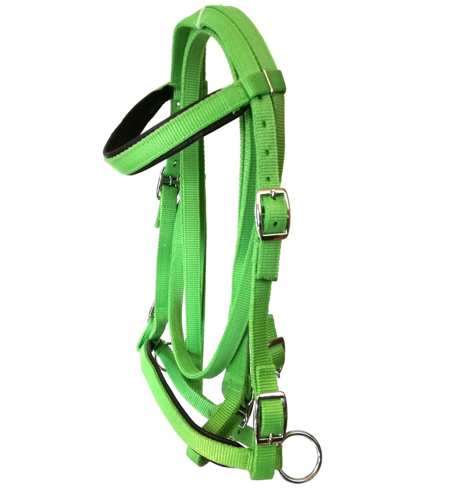 Shop JF-Reitsport Nylon Bridle Set with Reins - Bitless Cob in Green | International Shipping Available - Buy Online on SooperMarket.com