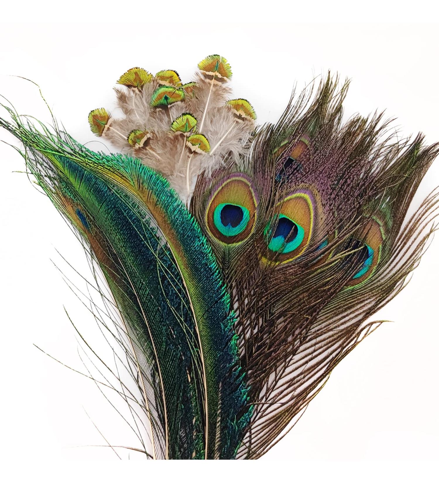 20 Pcs Real Natural Peacock Feathers Bulk Set - Multicolored DIY Craft & Wedding Decoration - Buy Online on SooperMarket.com