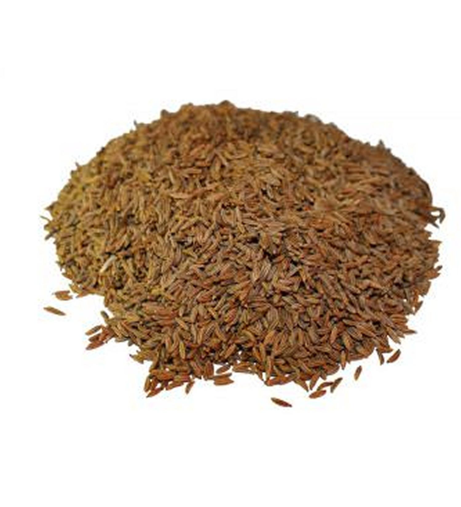Caraway Whole Dried Seeds 100g The Spiceworks-Hereford Herbs & Spices