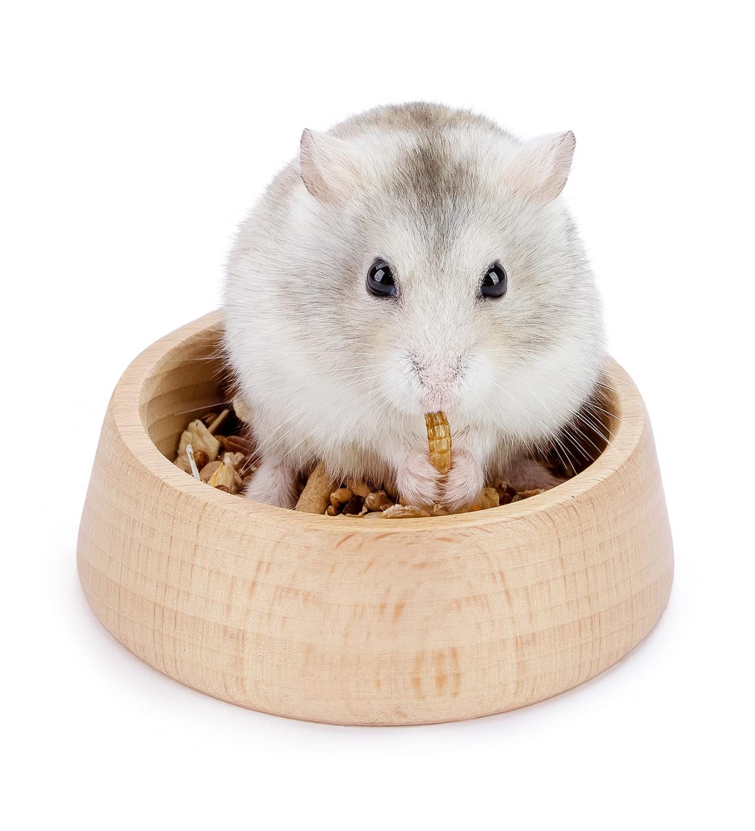 Niteangel Wooden Hamster Feeding Bowl - Small Animal Food Dish for Dwarf Syrian Hamsters Gerbils Mice Degus or Other Similar-Sized Small Pets (Hammy Pattern for Dwarf) Beige Hammy Pattern For Dwarf - Buy Online on SooperMarket.com
