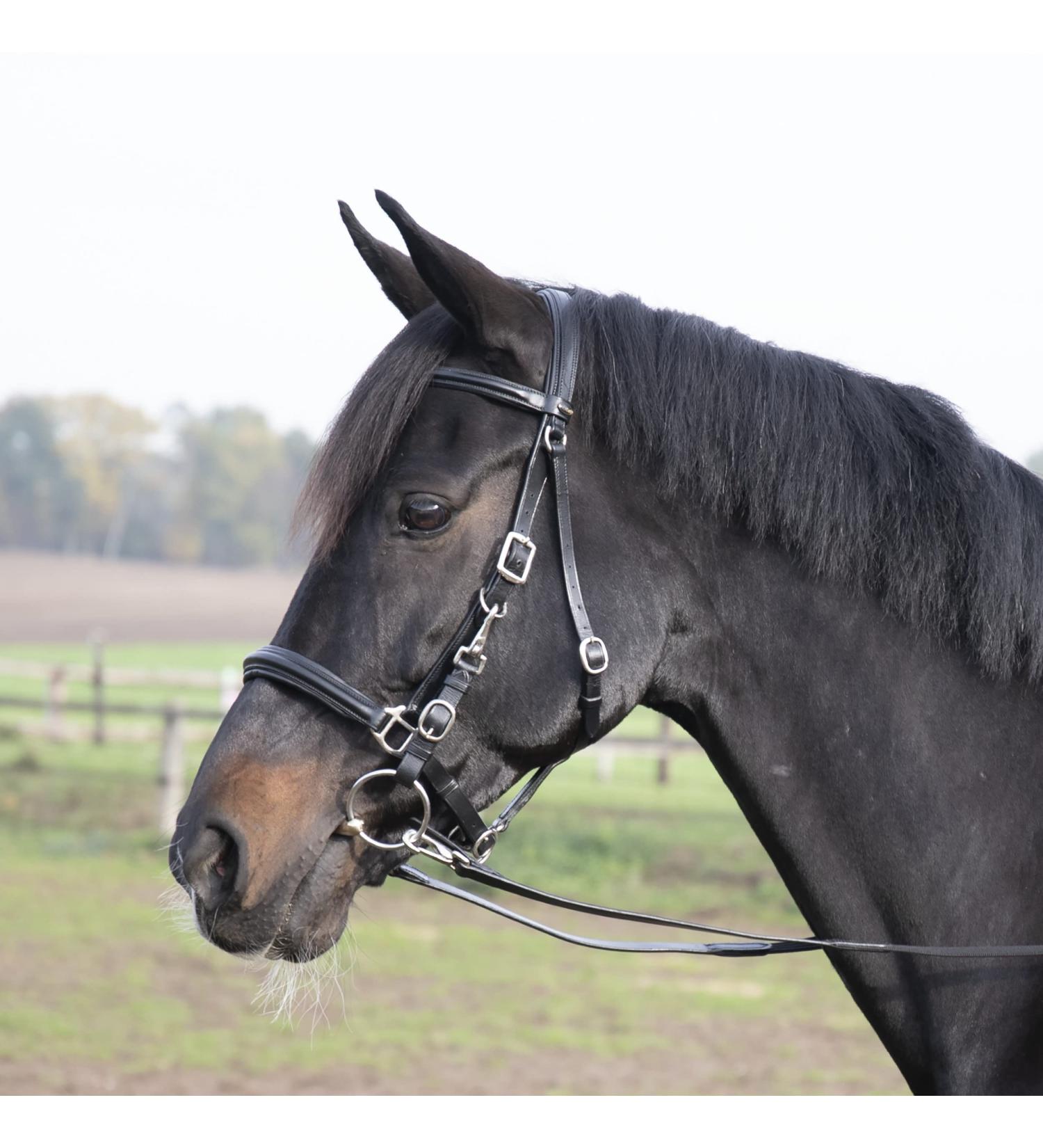 Solibel Trekking Bridle Black - Stainless Steel Thoroughbred Fit | International Shipping Available - Buy Online on SooperMarket.com