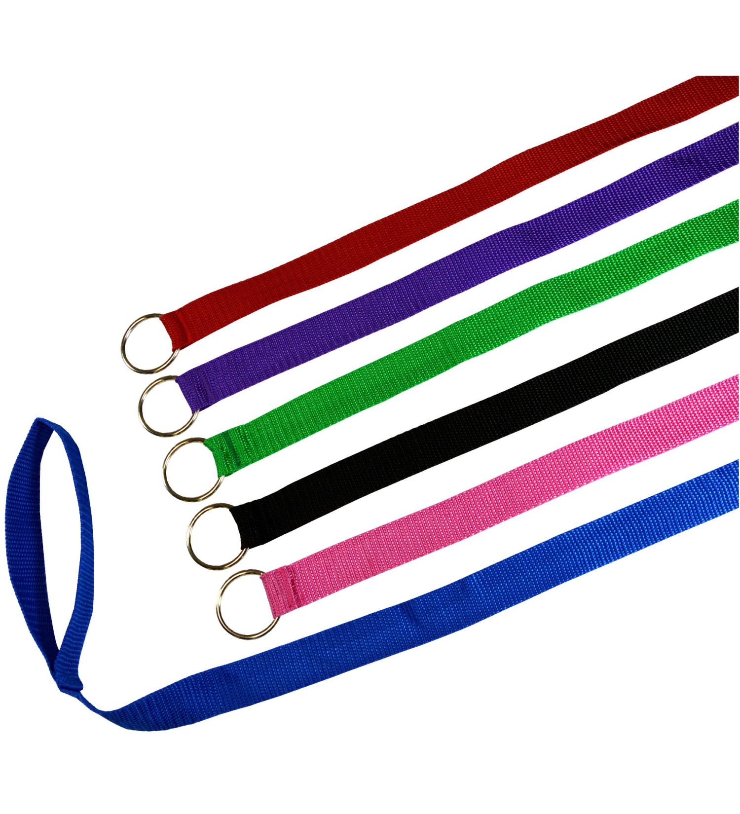 Downtown Pet Supply 6ft Dog Kennel Slip Lead Leash - Veterinarian Approved for Grooming, Daycare & Rescue - Bulk Pack of 6 Thick Leashes for Dogs - Buy Online on SooperMarket.com