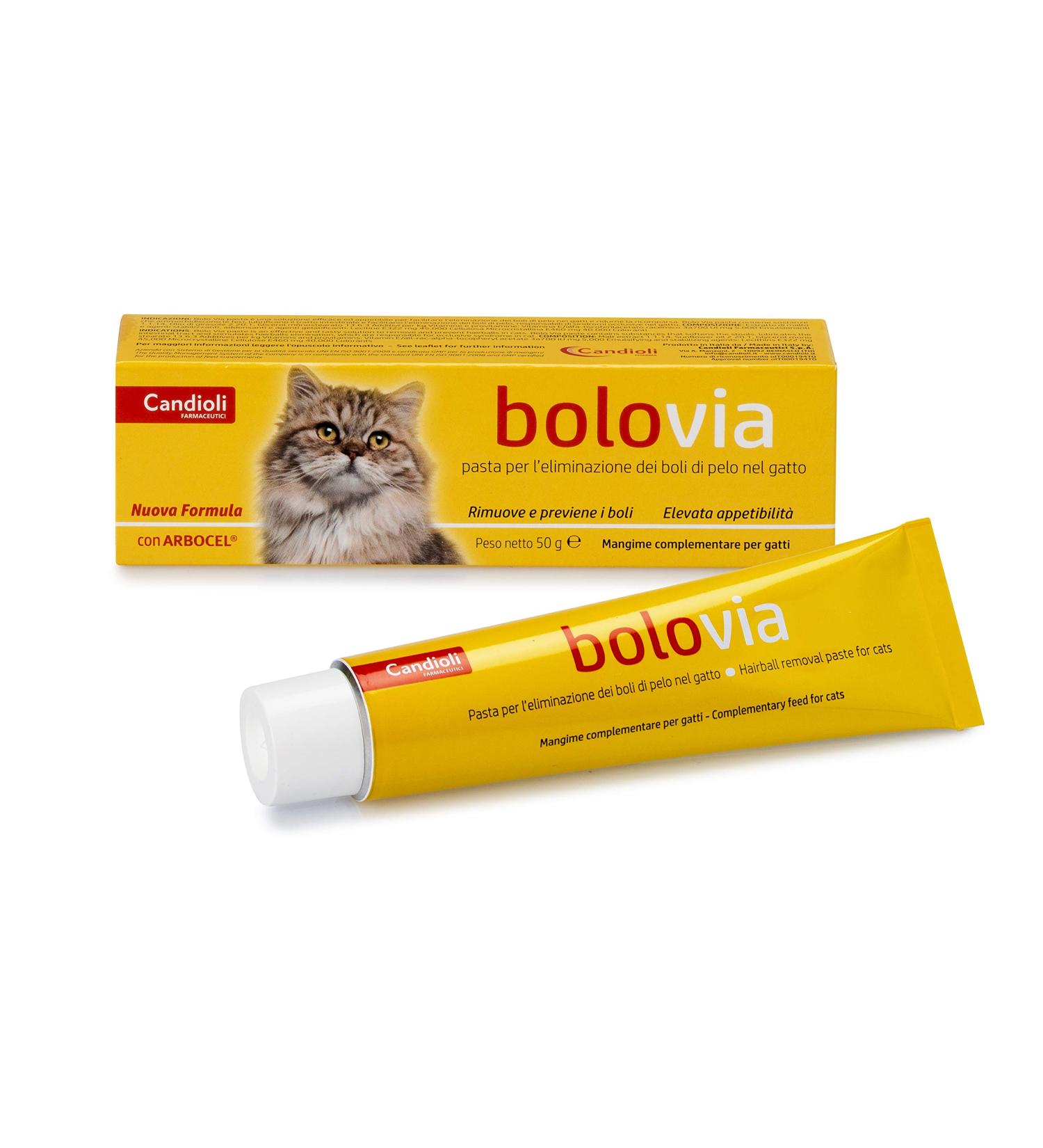 Bolo Via Pasta Gatti 50g
