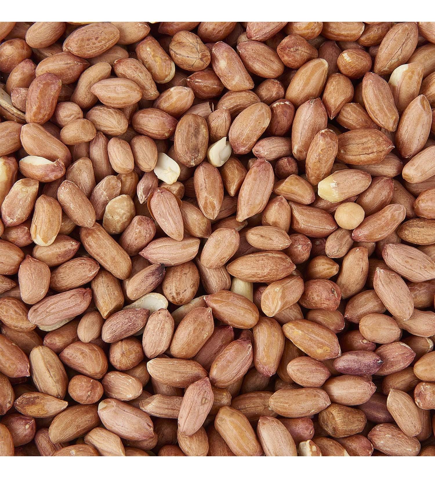 Peanut Kernels 5L Refill 1 count (Pack of 1)