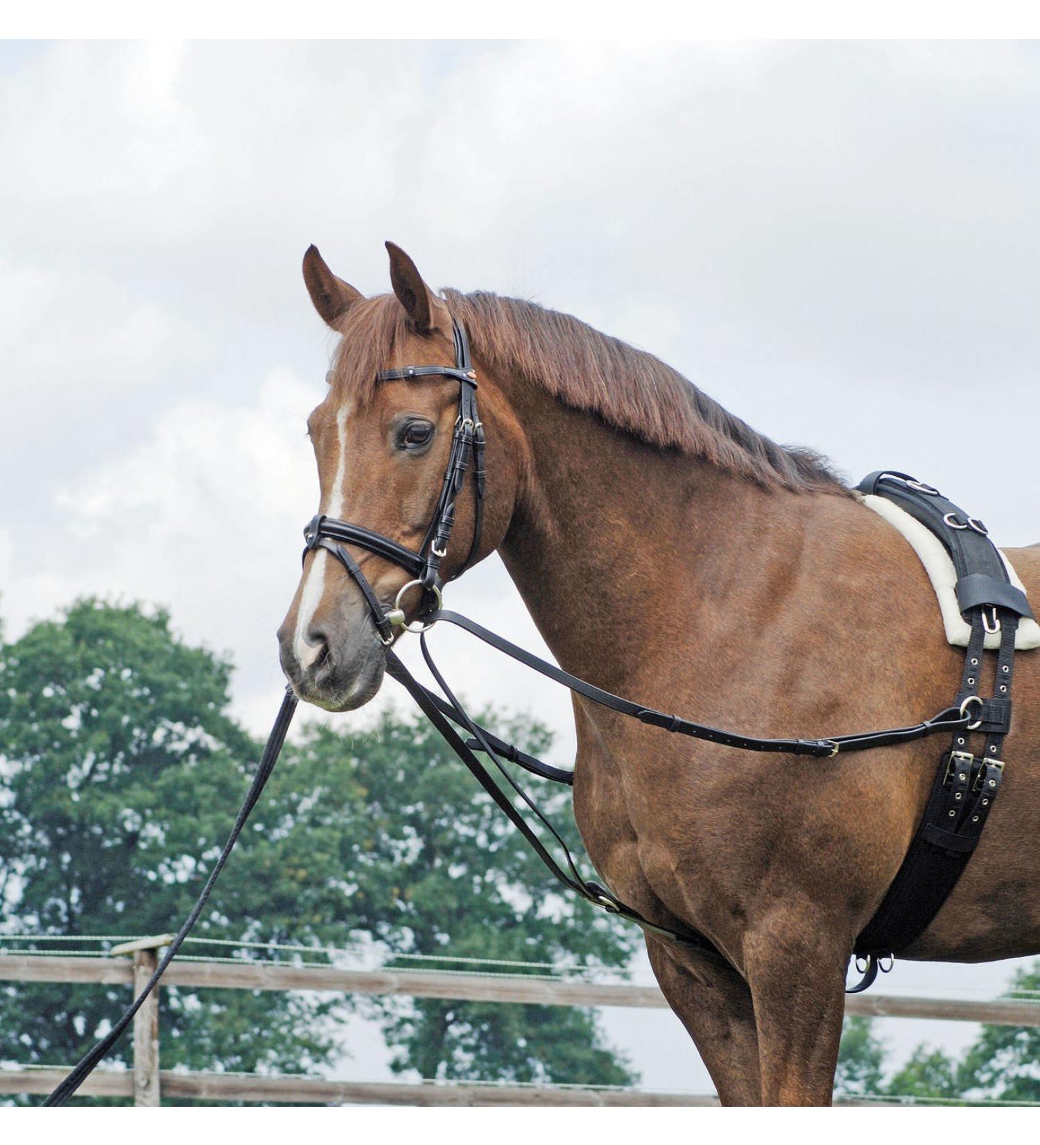Triangle reins Basic black fitting: nickel-plated warmblood