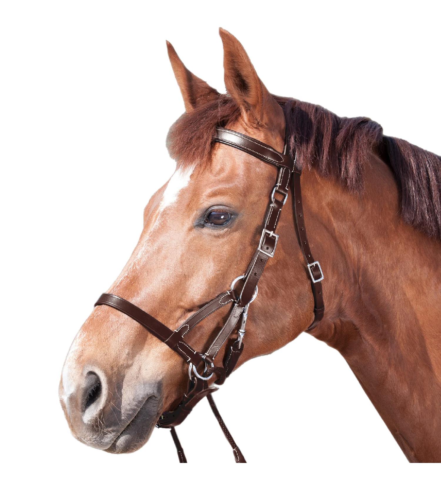 Shop WALDHAUSEN Star Bitless Bridle for Warmbloods Brown | International Shipping Available - Buy Online on SooperMarket.com