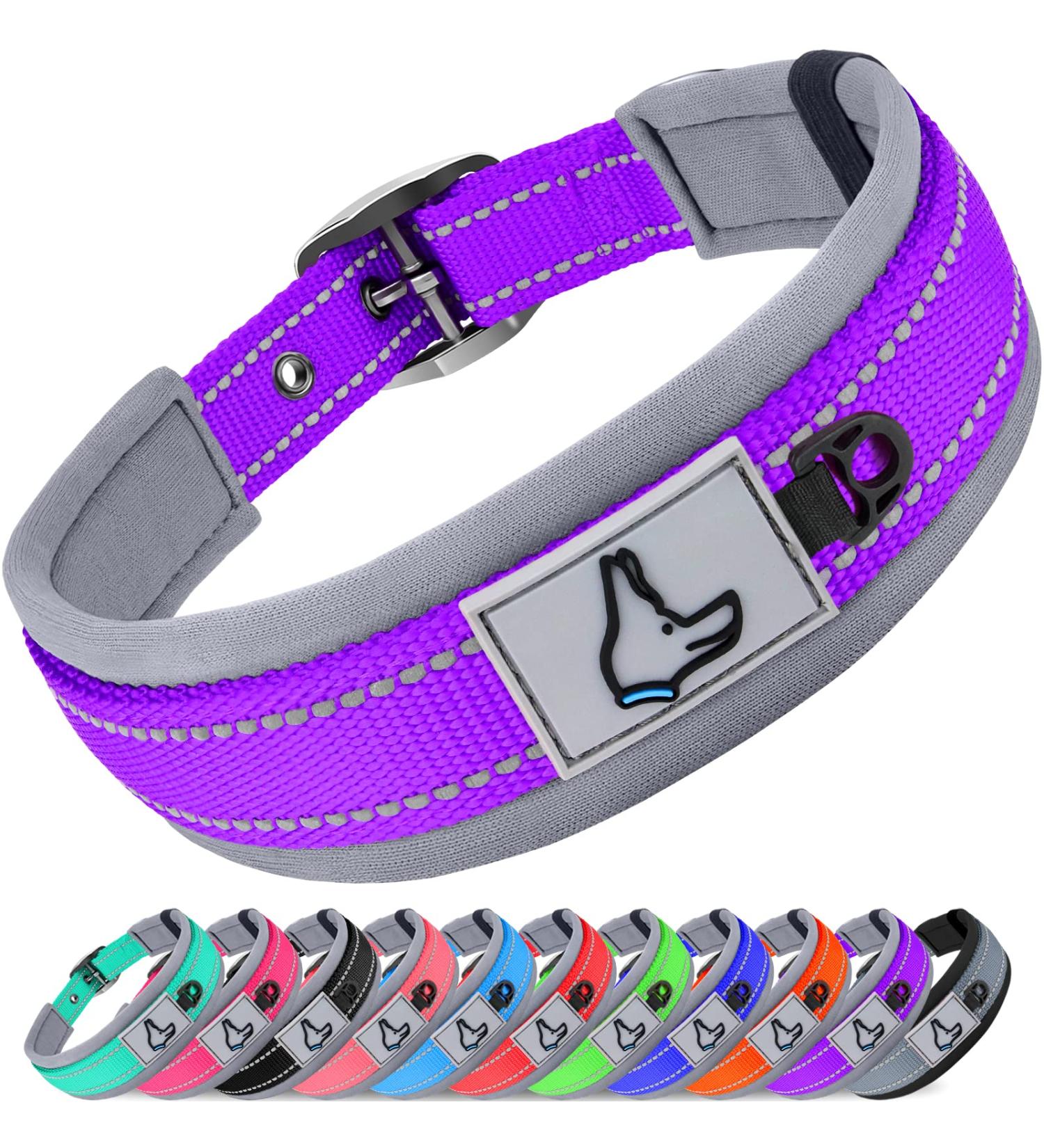Joytale Softly Padded Neoprene Dog Collar for Small Dogs | Reflective Nylon Wide Collar in Purple - 1 Pack - Buy Online on SooperMarket.com