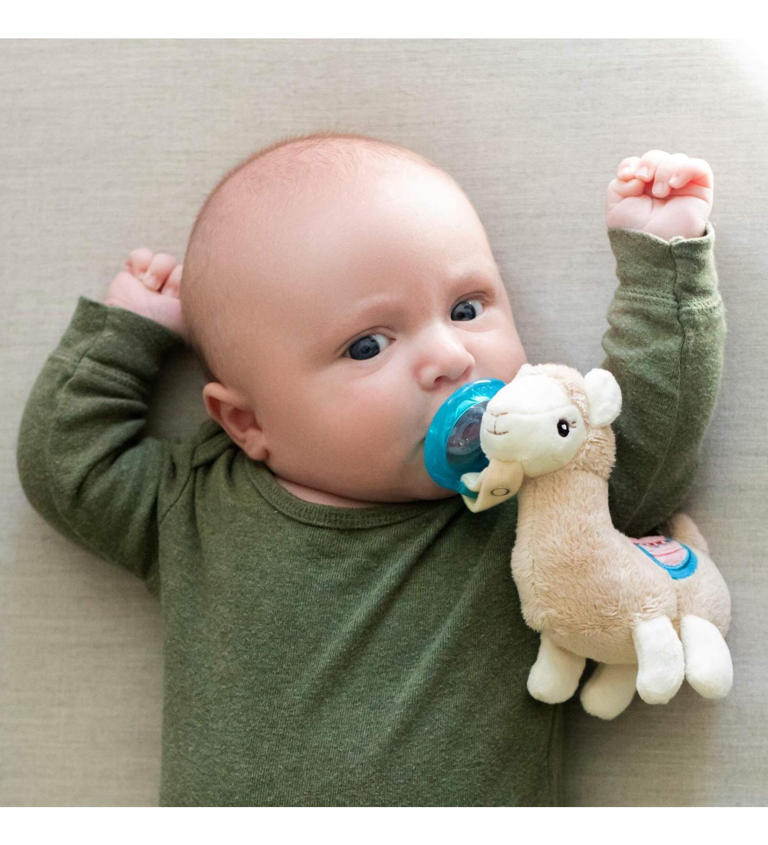 Nuby Soft Plush Pacifinder with Detachable Silicone Pacifier - Llama 0-6 Months | Natural Cherry Shape | Multi | One Size - Pack of 1 - Buy Online on SooperMarket.com