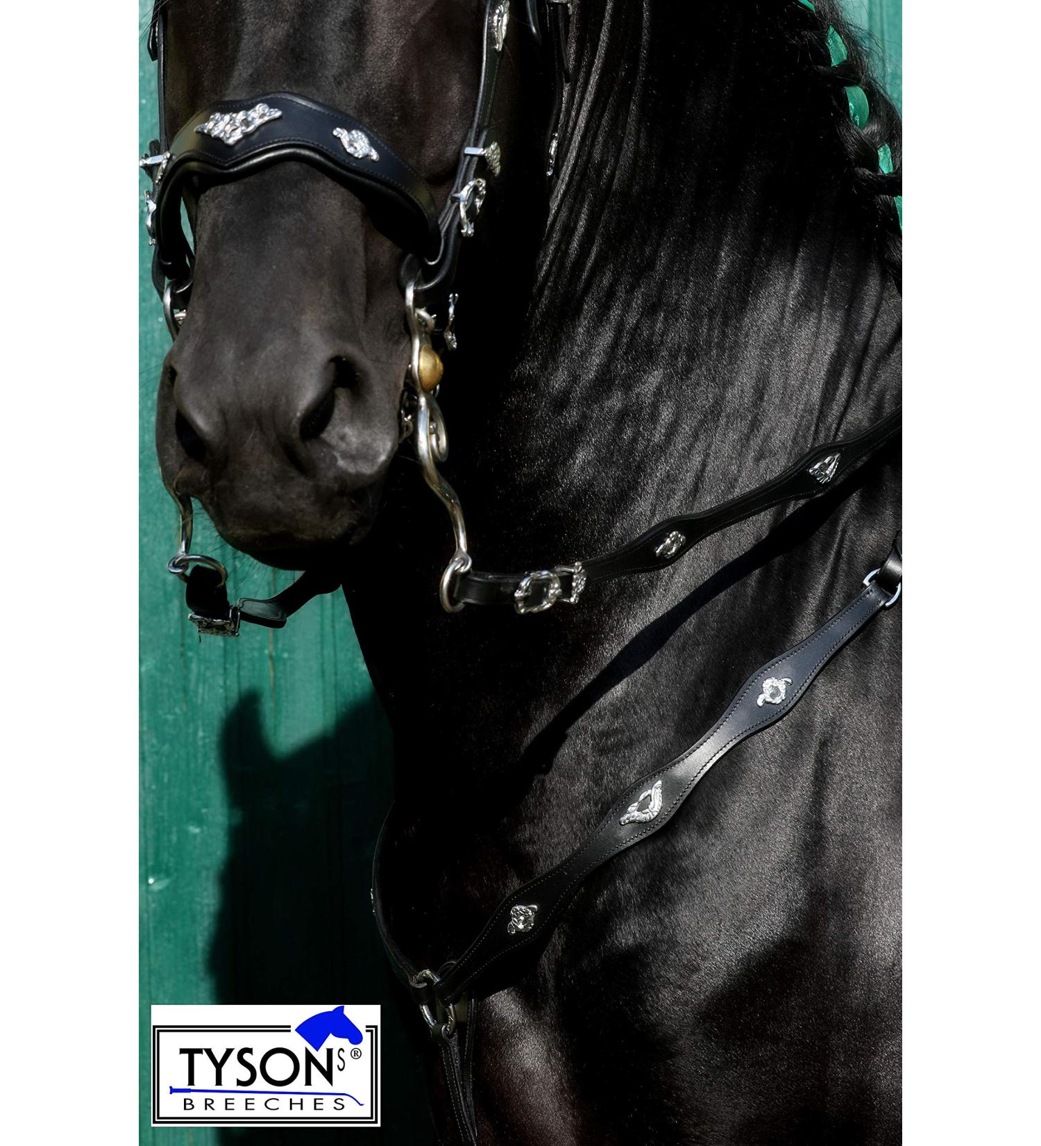 Jose Breastplate Show - Premium Portuguese Spanish Black & Brown Calfblood for VB WB XF XXF - XFULL Black - Buy Online on SooperMarket.com