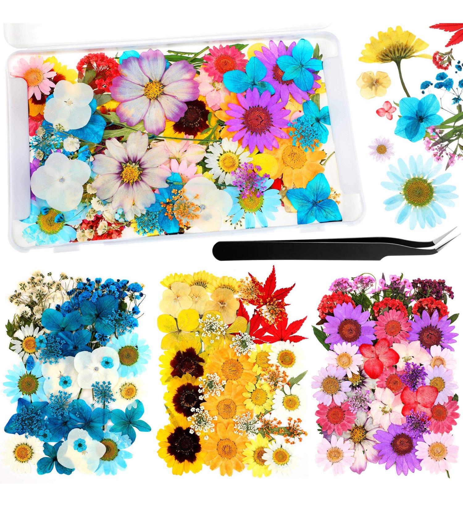 Dried Pressed Flower Leaves Set with Tweezers - 110 Assorted Natural Daisy Flowers for DIY Crafts & Decorations - Buy Online on SooperMarket.com