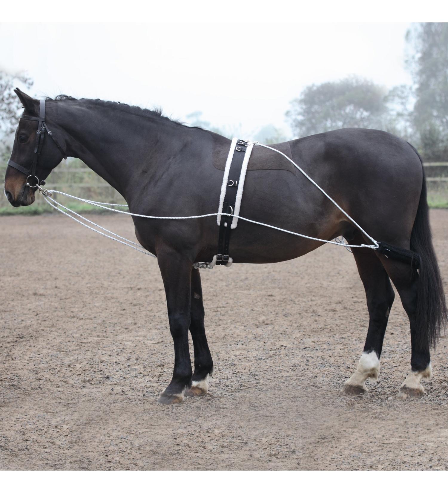 Shires Lunging Aid One Size Black