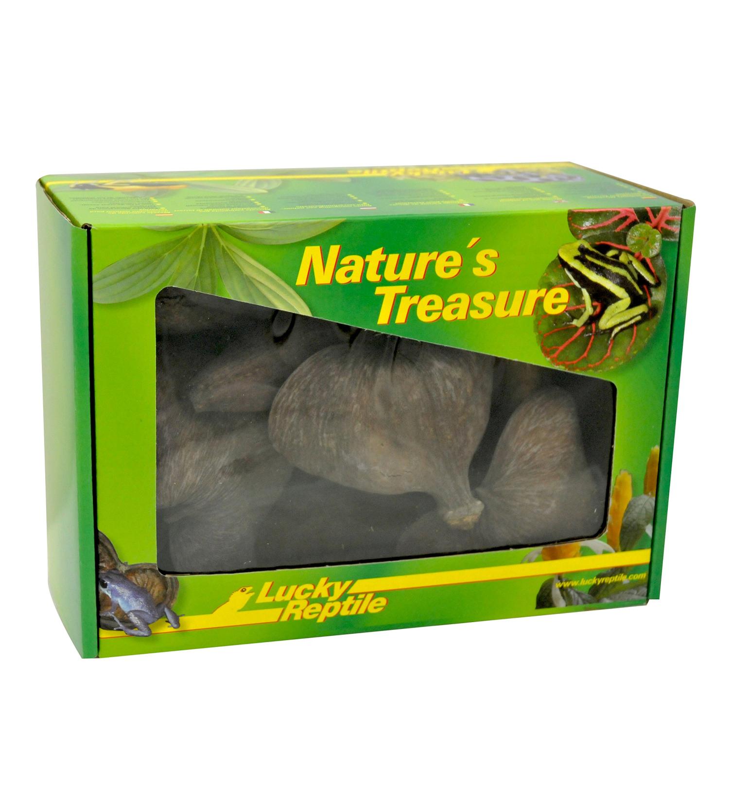 Lucky Reptile DB-01 Nature's Treasure Decor Box - Buy Online on SooperMarket.com