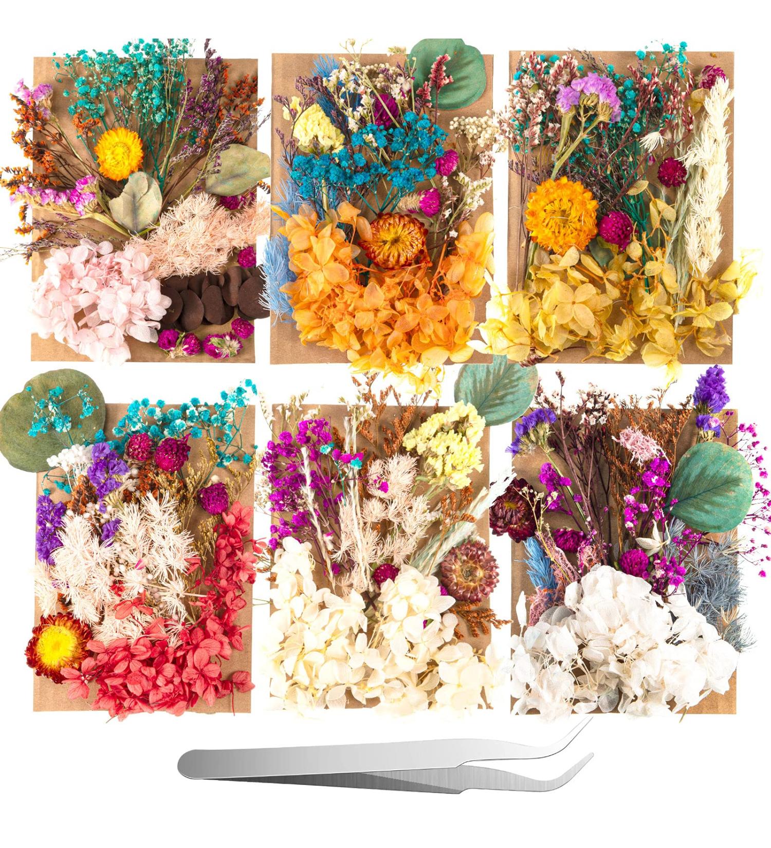 Pressed Dried Flowers Kit with Tweezers - Colorful Real Dried Flowers for Resin Jewelry DIY - Buy Online on SooperMarket.com