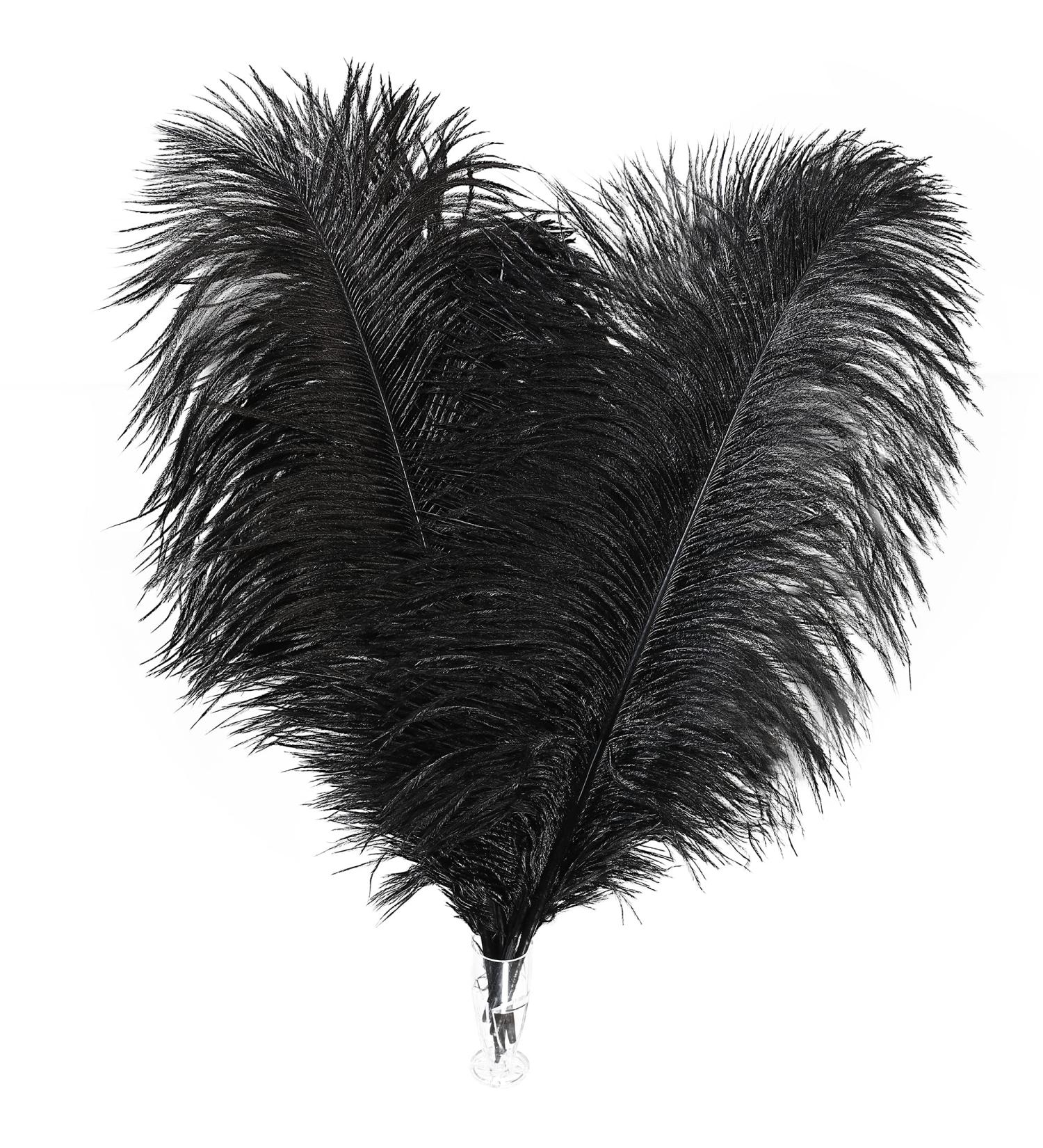 Soarer Black Ostrich Feathers Bulk - 30pcs 8-10 inch for Wedding Party Centerpieces & Home Decor - DIY Crafts (Black) - Buy Online on SooperMarket.com