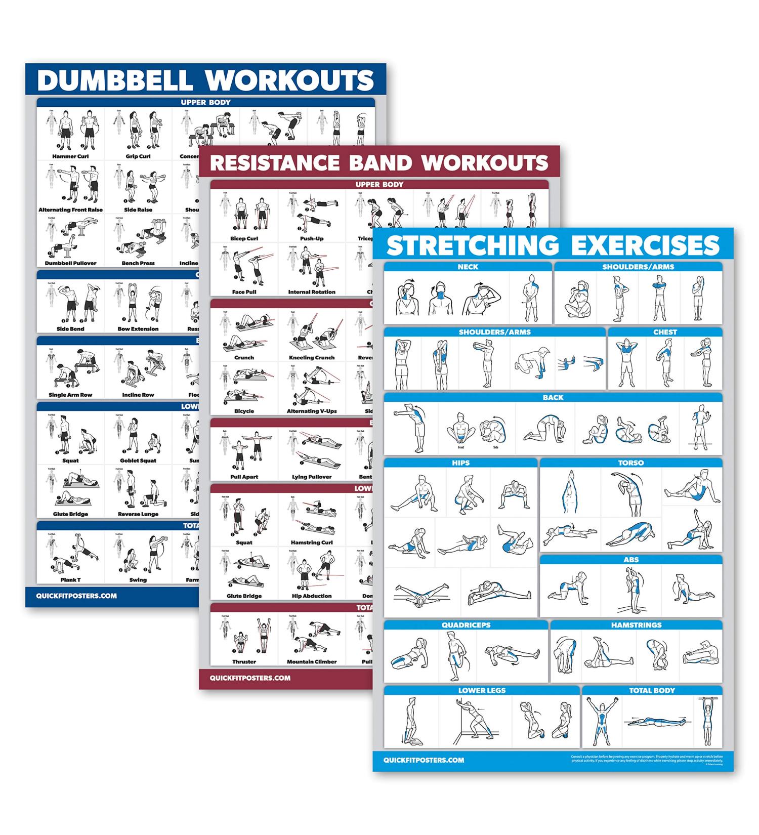 Palace Learning 3-Pack: Dumbbell Exercise Poster Resistance Bands Workouts & Stretching Tables - Laminated 18x24 - Ideal for Home Fitness & International Shipping - Buy Online on SooperMarket.com