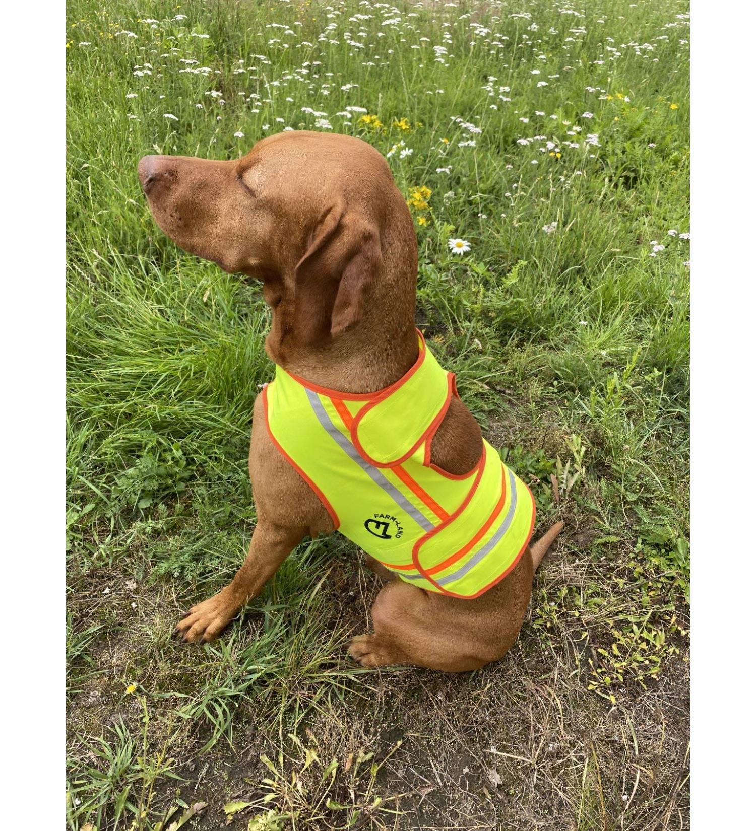 FARM-LAND Dog Reflective Vest Safety Vest Hunting