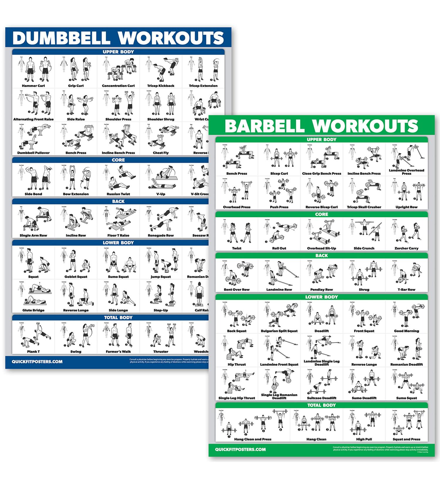Quickfit Dumbbell & Barbell Training Poster Set - Laminated 18x27 | International Shipping Available - Buy Online on SooperMarket.com