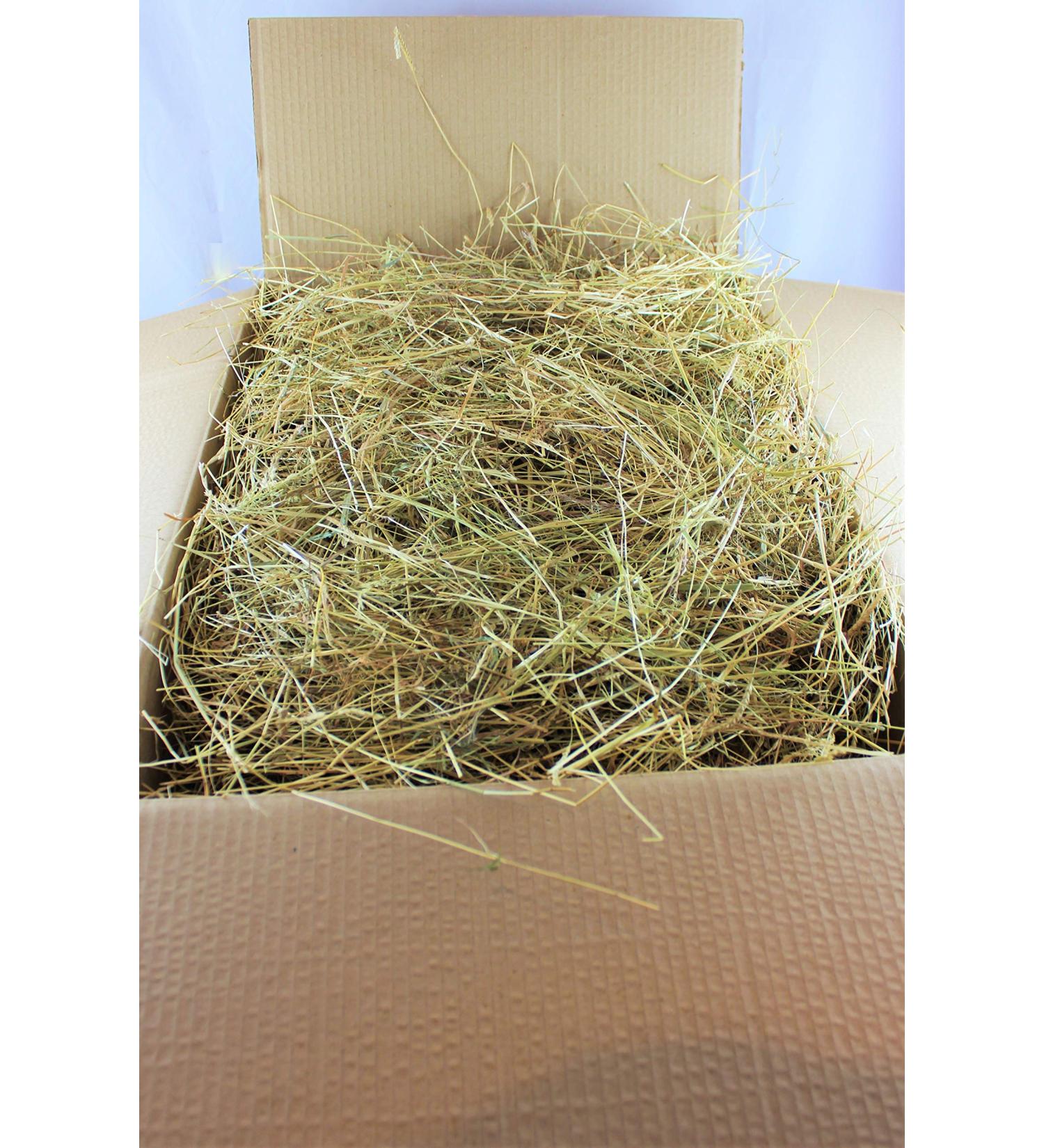 Meadow Hay ideal for Rabbit Guinea Pig etc. - 8kgs - Buy Online on SooperMarket.com