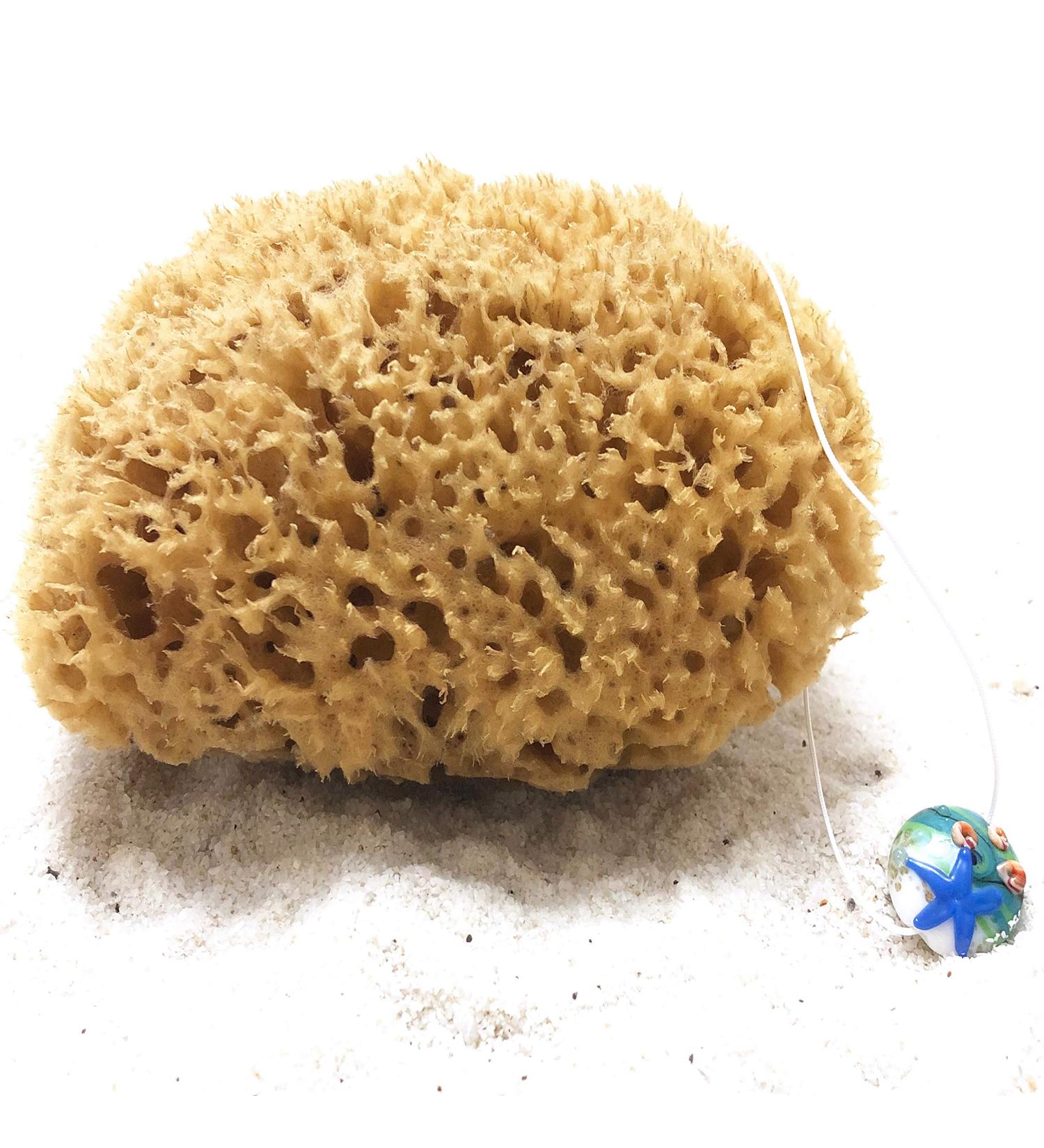 Tom & Pat Natural Bathing Sponge with Cordel | Premium Quality Shower & Peeling Sponge from Greece - Dermatest Rated Very Good (15-16 cm) - Buy Online on SooperMarket.com