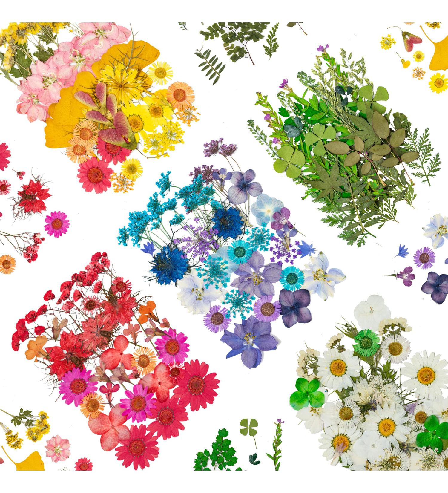 Dried Pressed Flowers 170+ Pcs - Bulk Natural Floral Fillers for Resin Crafts & Jewelry - 5 Color Set - Buy Online on SooperMarket.com