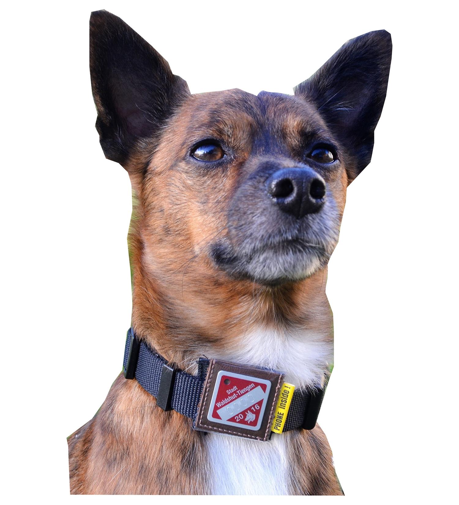 Josi.li Protective Cover for Dog Stark - Premium Leather Dog Brand Bag for Collars & Dishes (Up to 33x33mm) - International Shipping Available - Buy Online on SooperMarket.com
