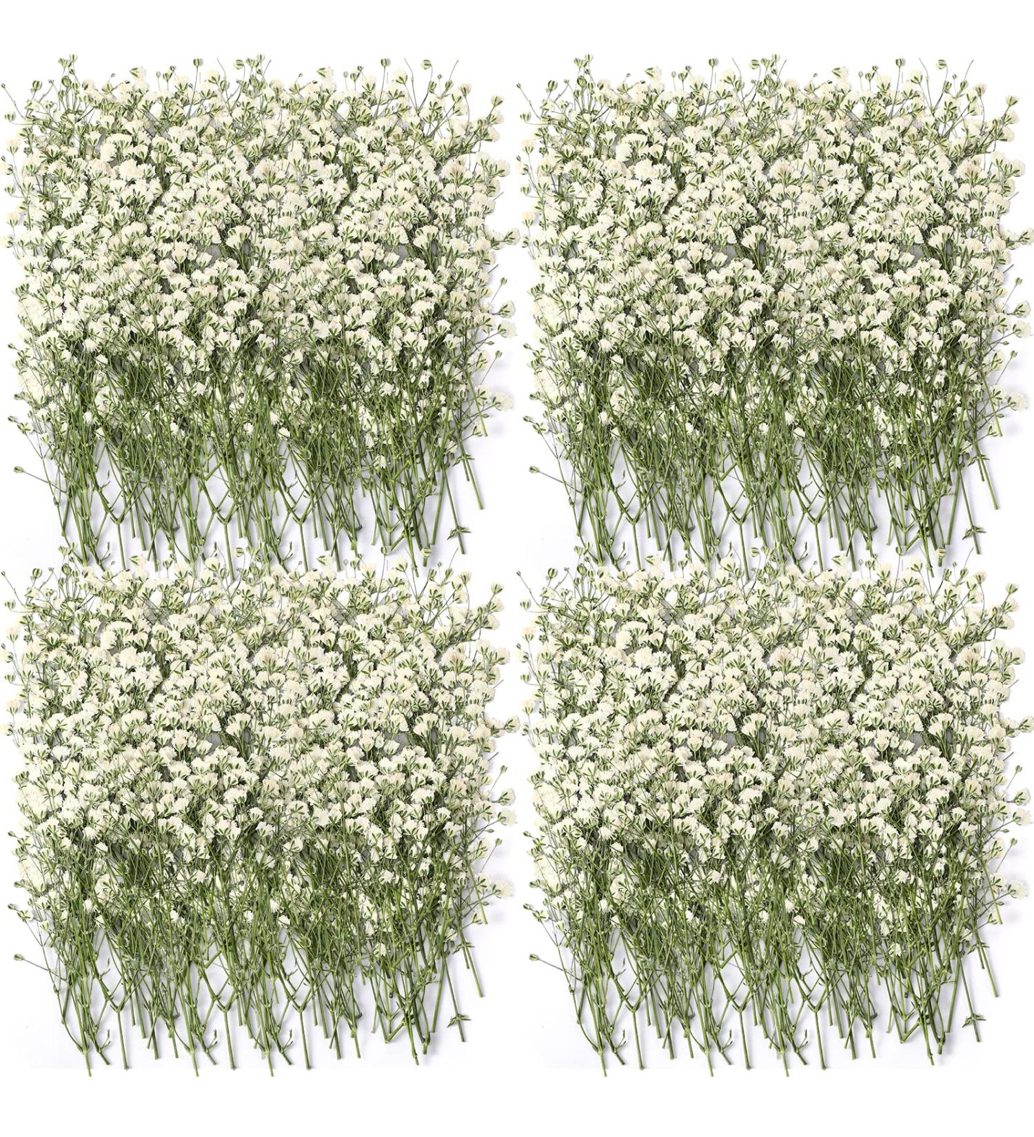 Dried Babys Breath Flowers Bulk - 200 Pcs Ivory White Gypsophila for Wedding, Christmas, and Crafts - Buy Online on SooperMarket.com