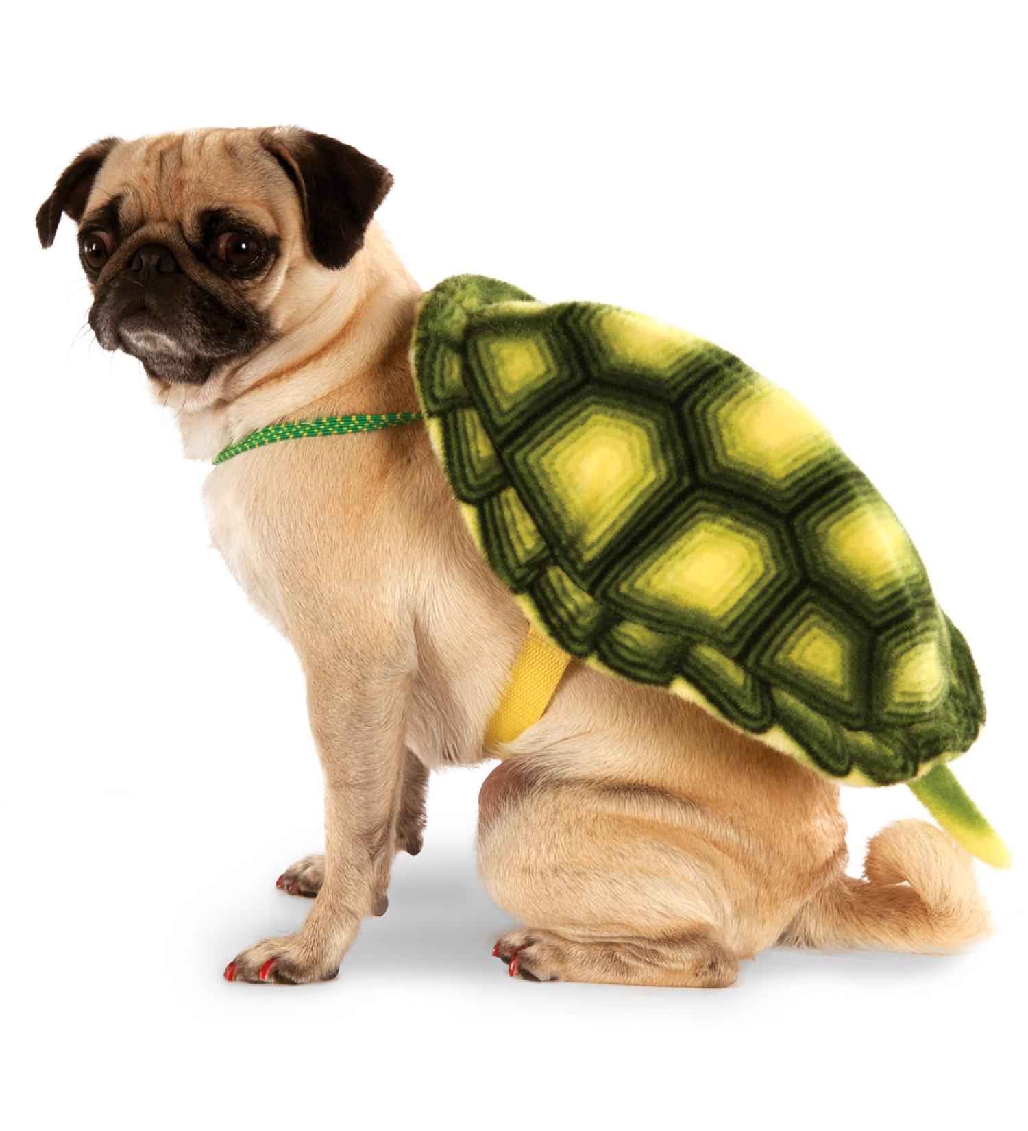 Small/Medium Turtle Shell Pet Backpack - Convenient and Stylish Carrier - Buy Online on SooperMarket.com