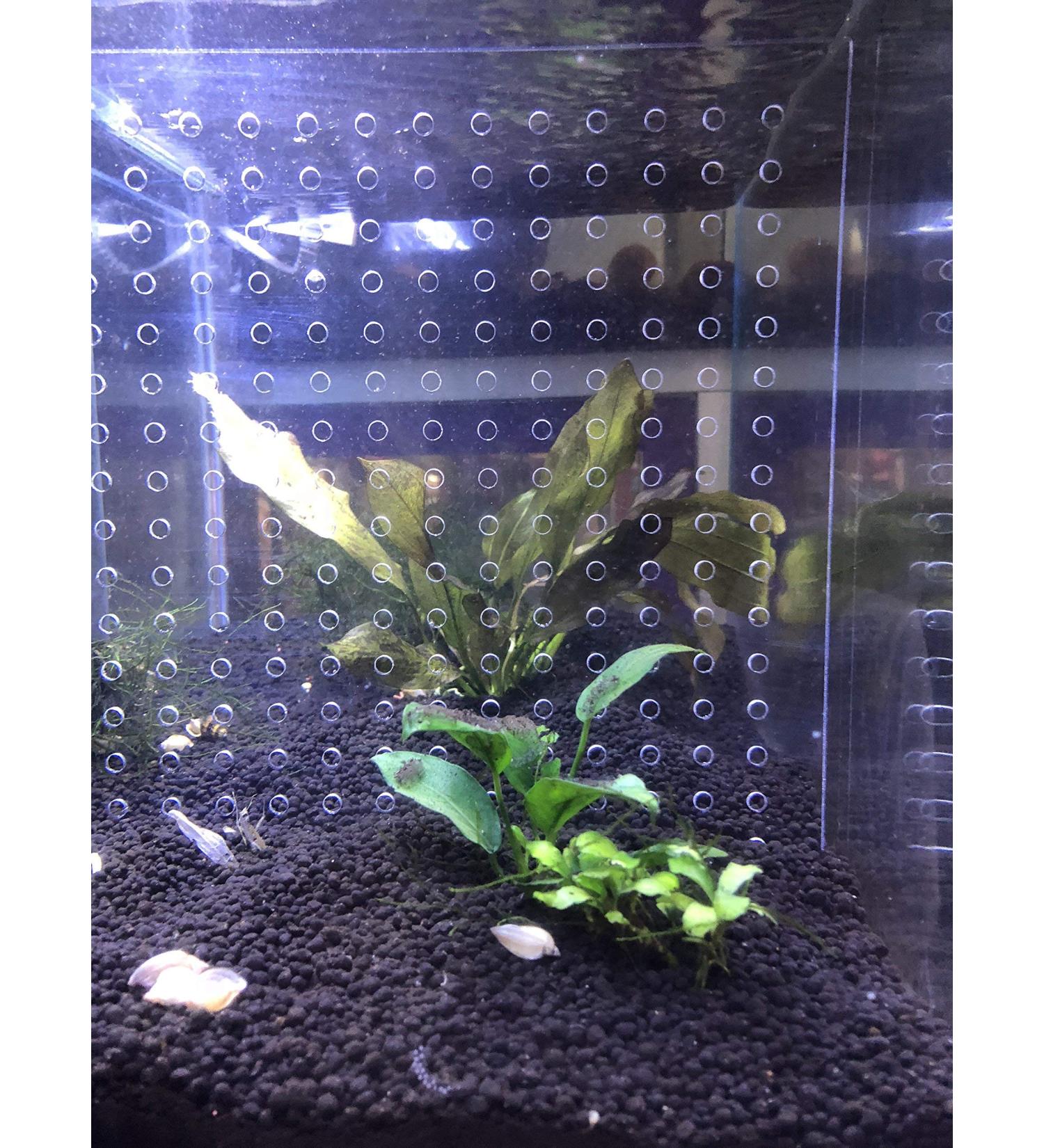 Acrylic 10 Gallon Aquarium Divider Isolation Board with Suction Cups - Buy Online on SooperMarket.com