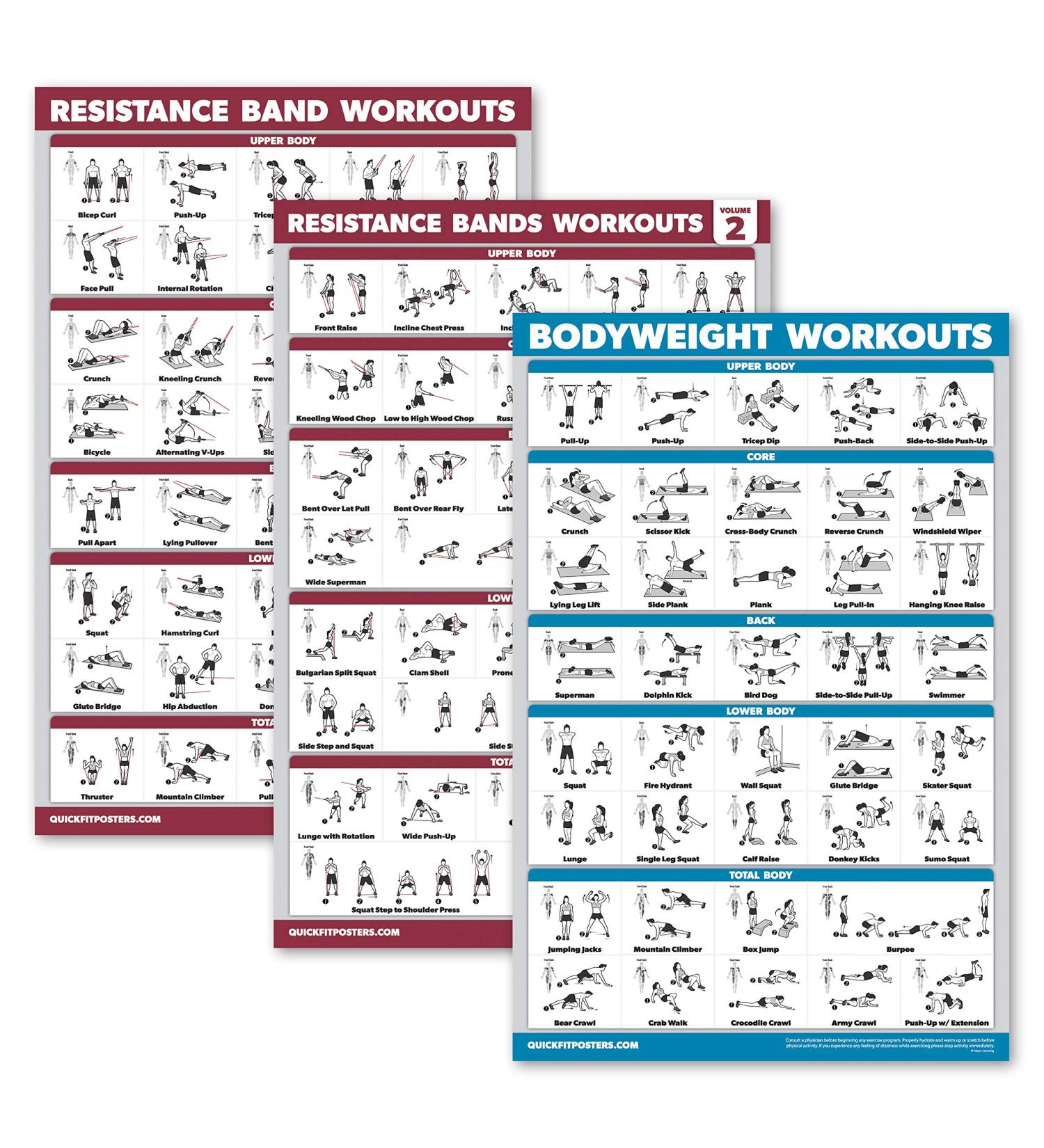 Palace Learning 3-Pack - Resistance Tapes & Bodyweight Exercises Poster Set | 18x24 Laminated Training Tables for Home Workouts - Buy Online on SooperMarket.com