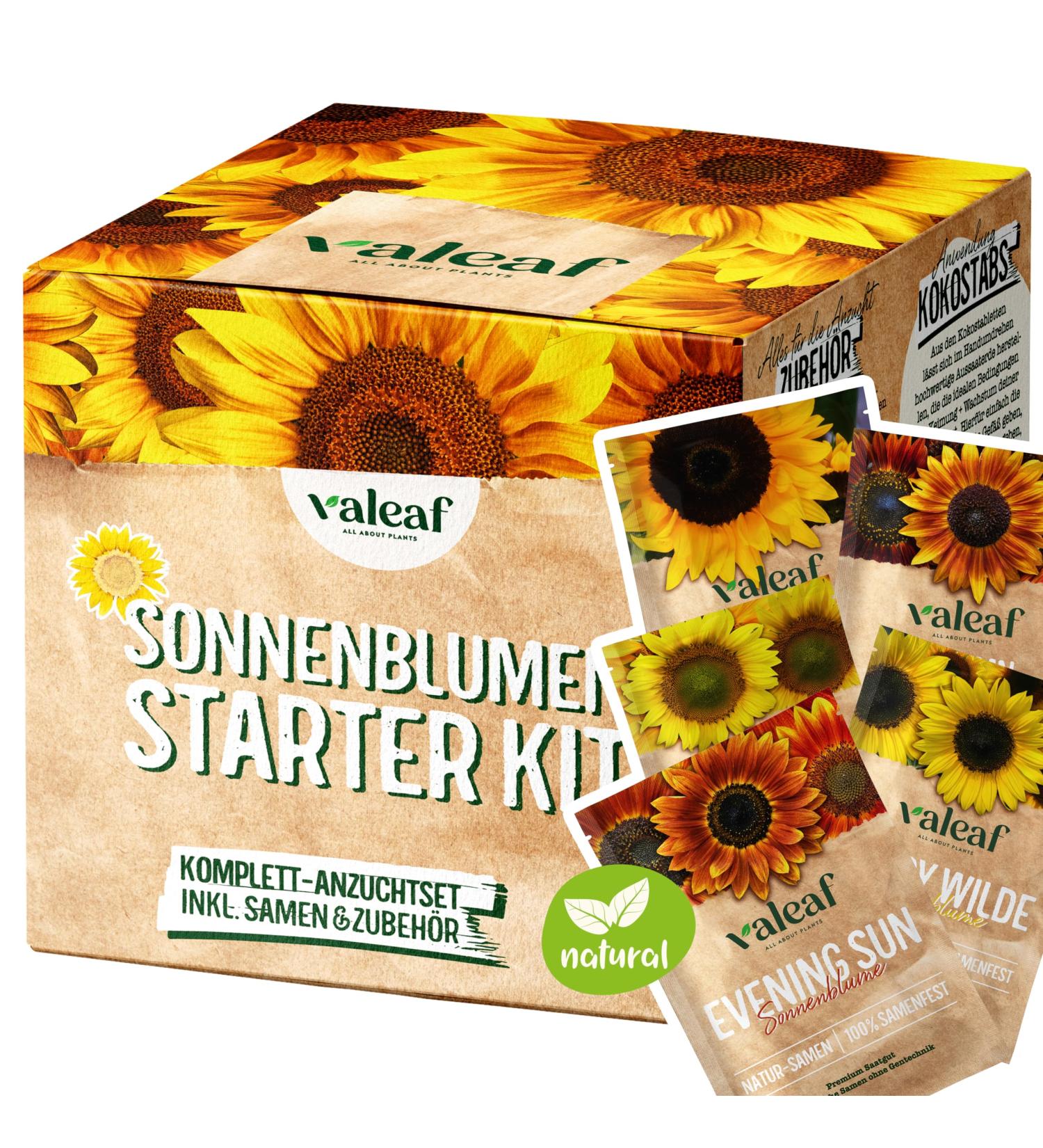valeaf Sunflower Starter Kit (Sunflowers) - Buy Online on SooperMarket.com