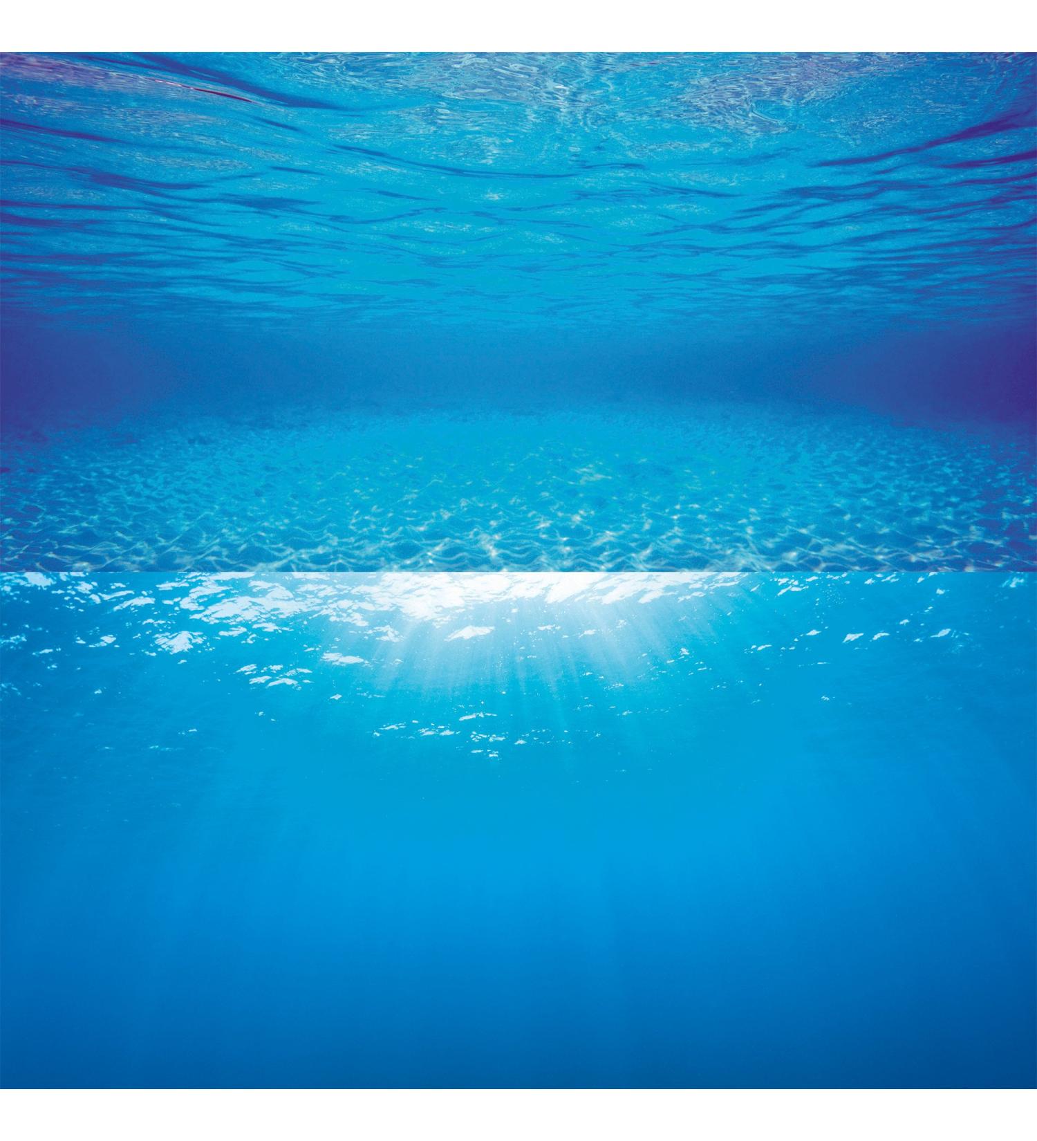 Juwel Poster 2 Blue Extra Large XL - 120 x 60 cm bis 150 x 60 cm - Buy Online on SooperMarket.com