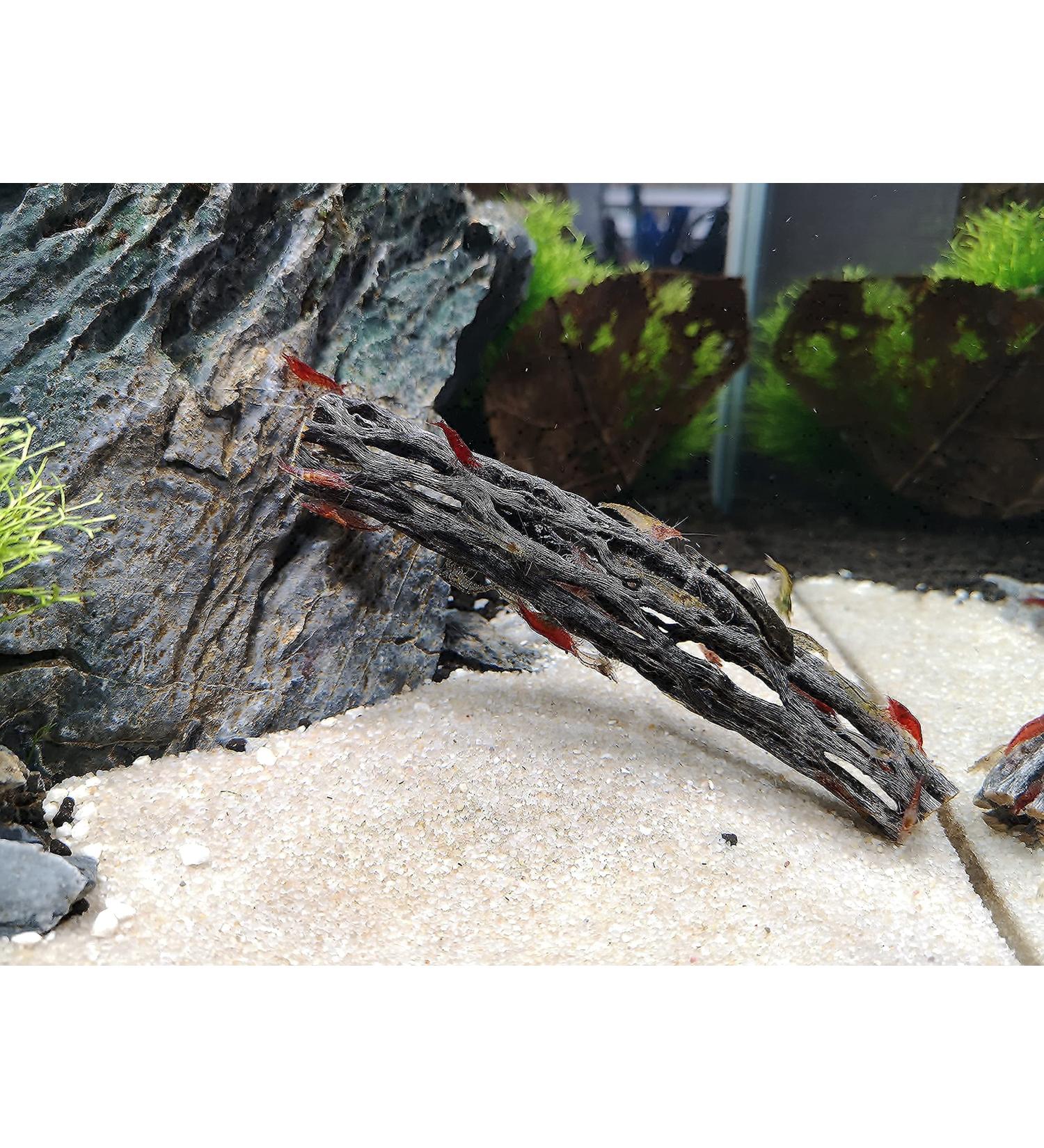 Proximus N1 Cholla Wood aquarium decoration for aquascape shrimp tank fish fry - Buy Online on SooperMarket.com