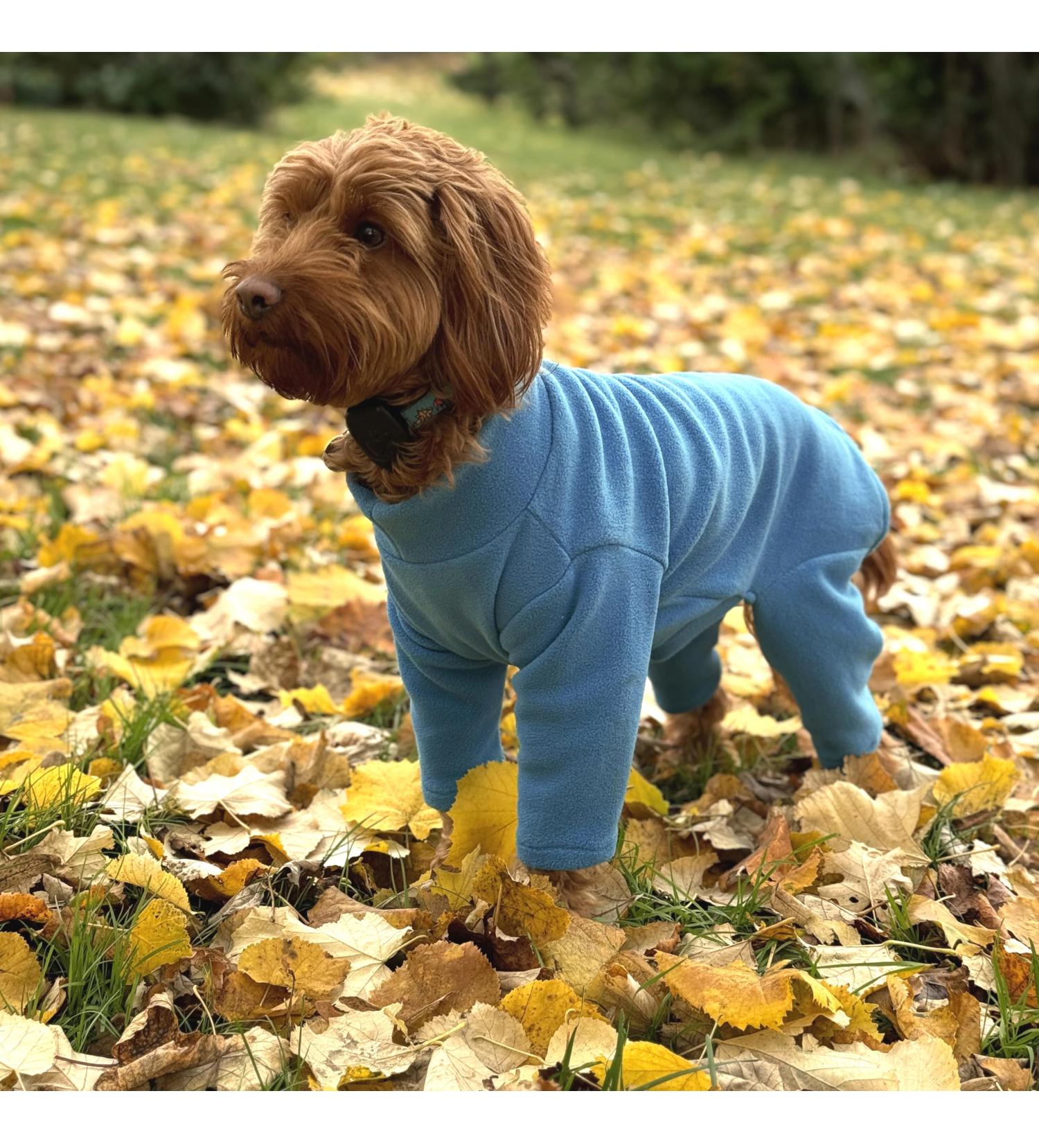 Warm Four Legged Dog Fleece Available in Five Sizes & Three Colours (Teal Medium (Four Legged)) Medium (Four Legged) Teal - Buy Online on SooperMarket.com