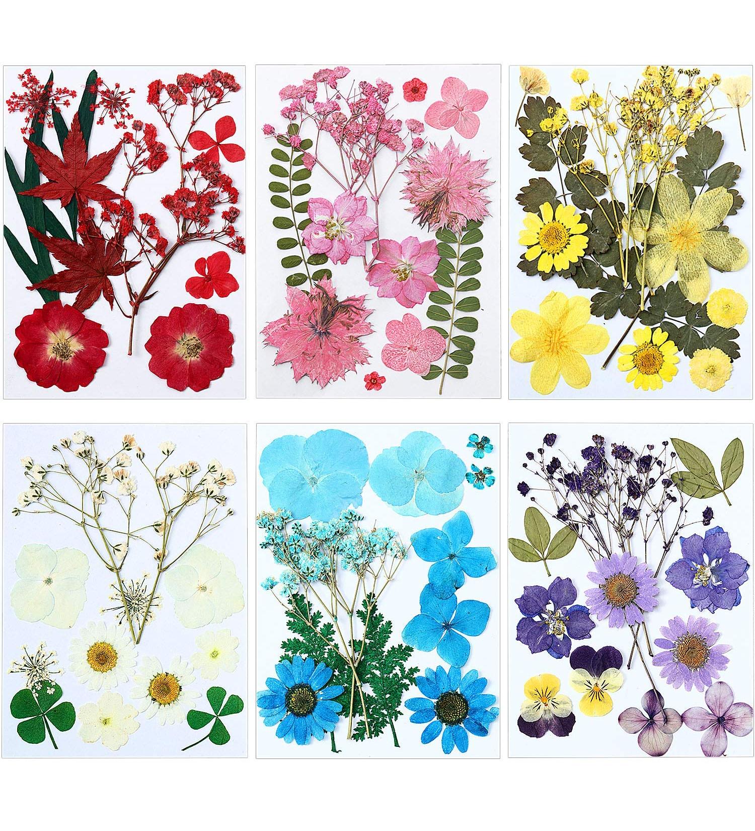 EBOOT 72 Pieces Real Dried Pressed Flowers Set for DIY Crafts & Floral Decor - Mixed Dry Flowers for Candle, Resin, Jewelry & Nail Art - Buy Online on SooperMarket.com