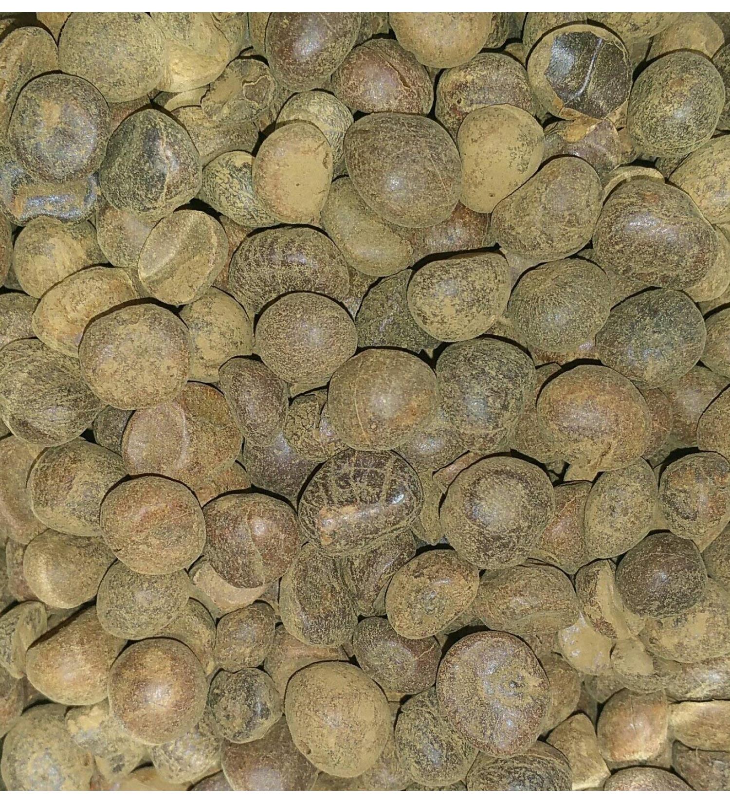 Organic Guarana Seed (Paullinia cupara VAR. sorbilis) Dried Herb (50g)