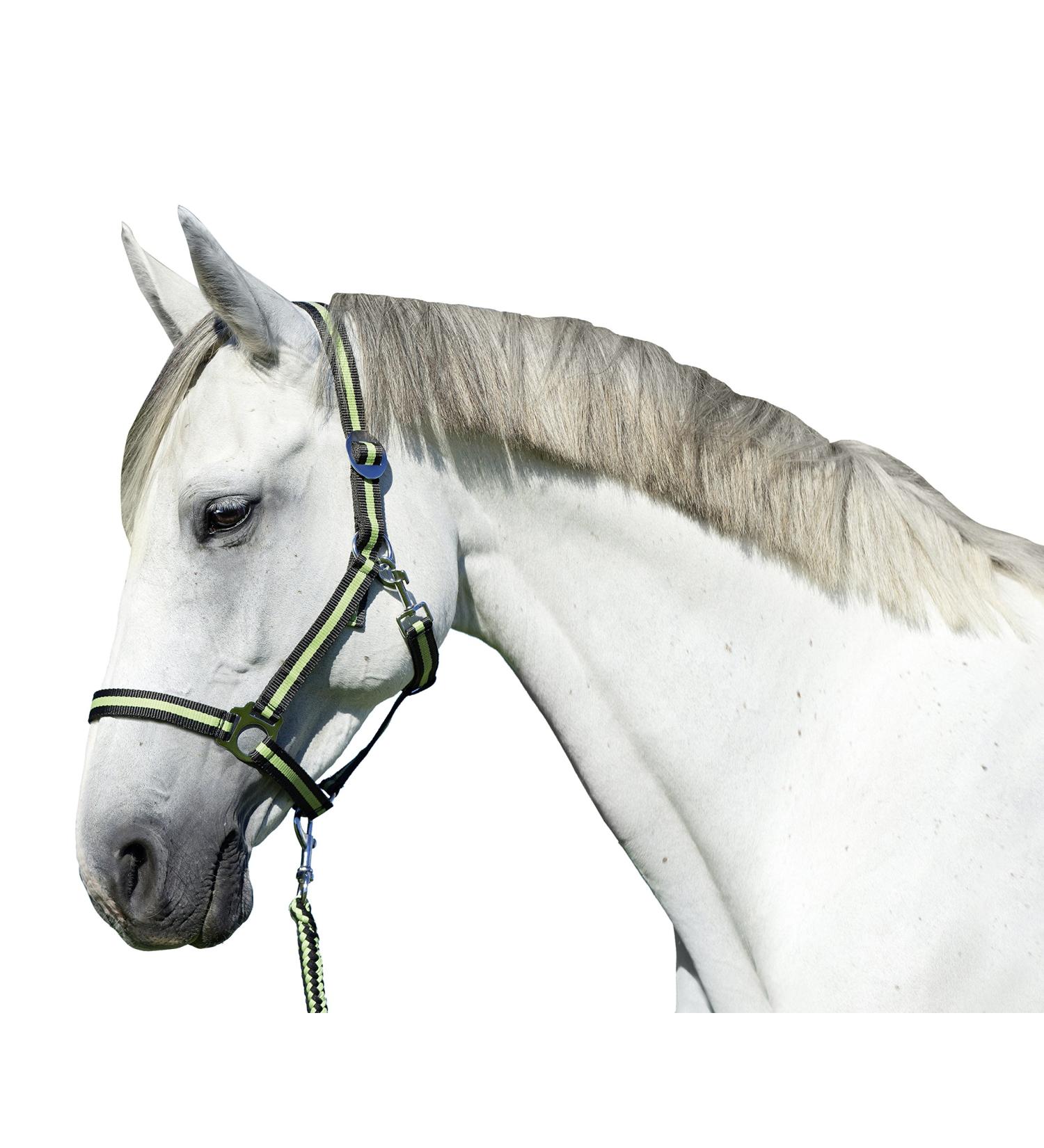 Kerbl Nylon Halter Hippo Nylon Halter for Pony Shetty Full Cob XFull 6 Colors Size 0 anthracite/lemon